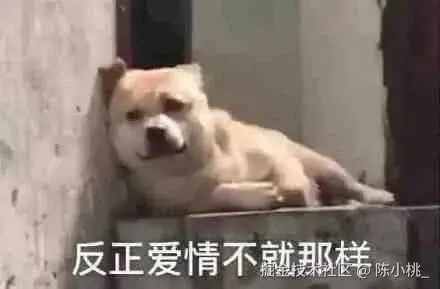 陈小桃_于2026-02-08 10:59发布的图片