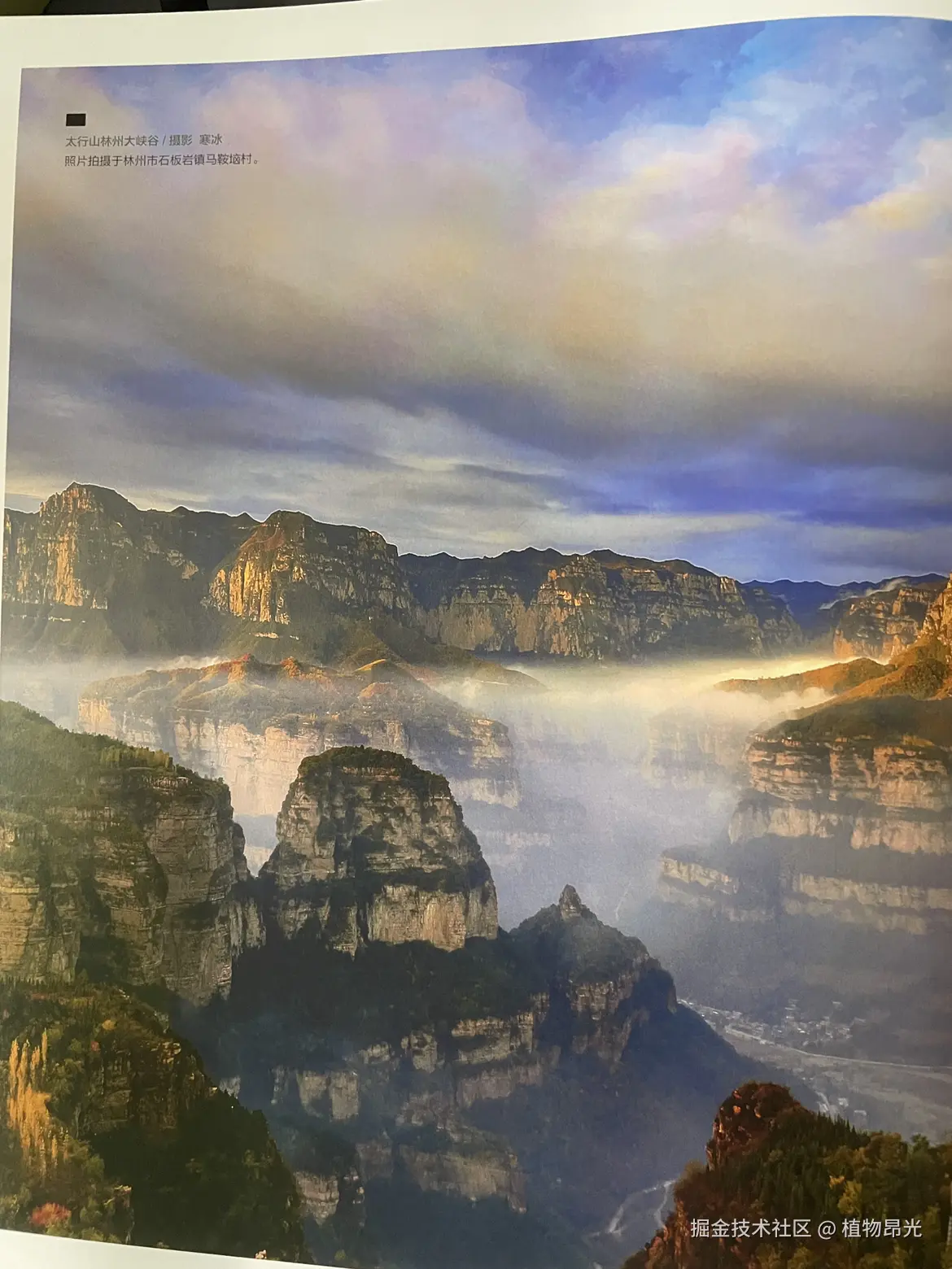 植物昂光于2026-04-10 21:41发布的图片