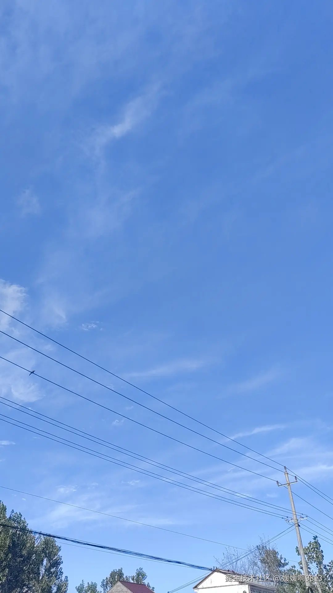 媛媛啊9813于2024-10-06 08:37发布的图片