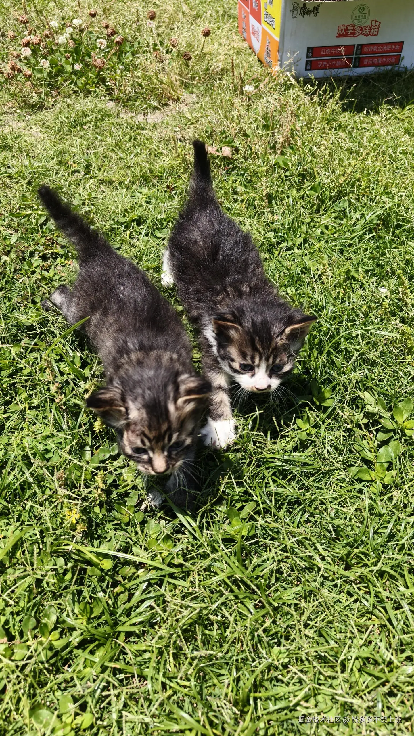 钱多多不想上班于2025-05-12 13:53发布的图片