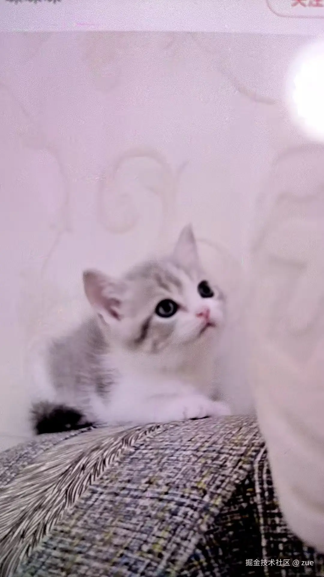 zue于2025-09-05 03:07发布的图片