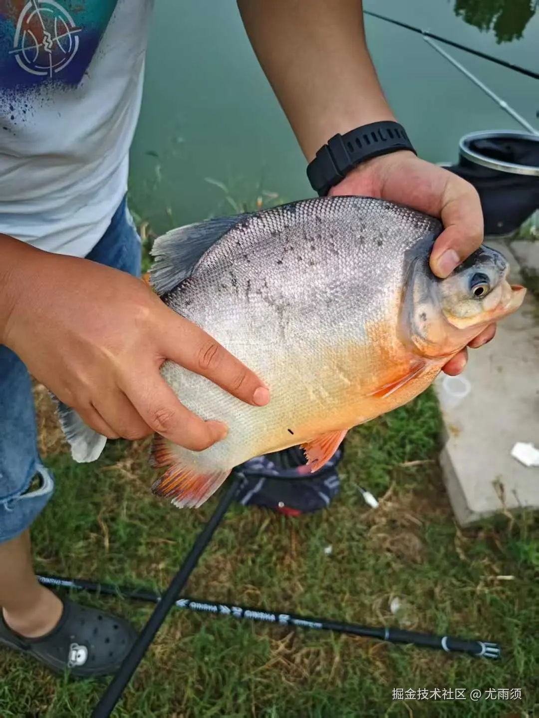 尤雨须于2025-08-11 08:52发布的图片
