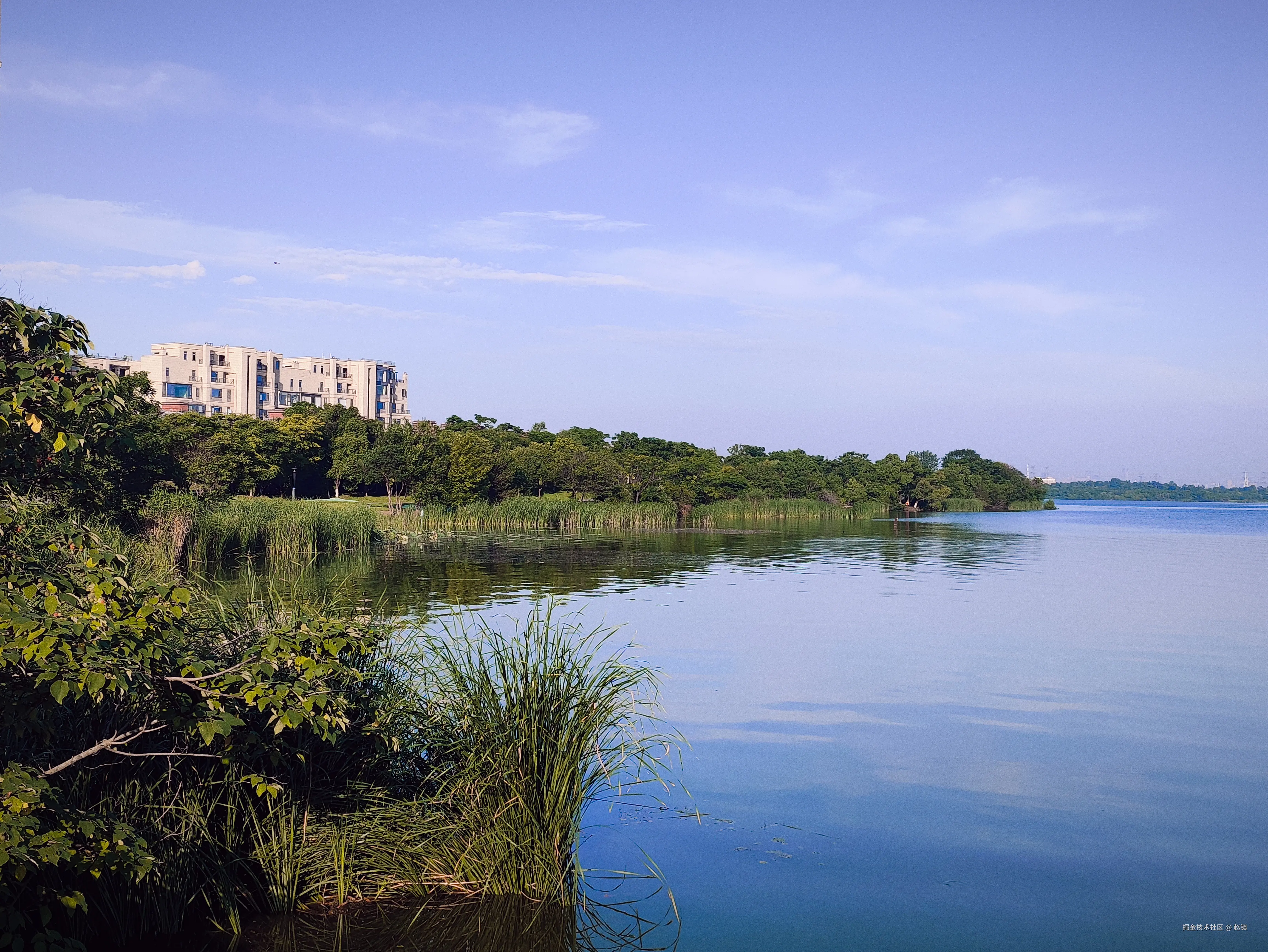 赵镇于2025-07-04 09:23发布的图片