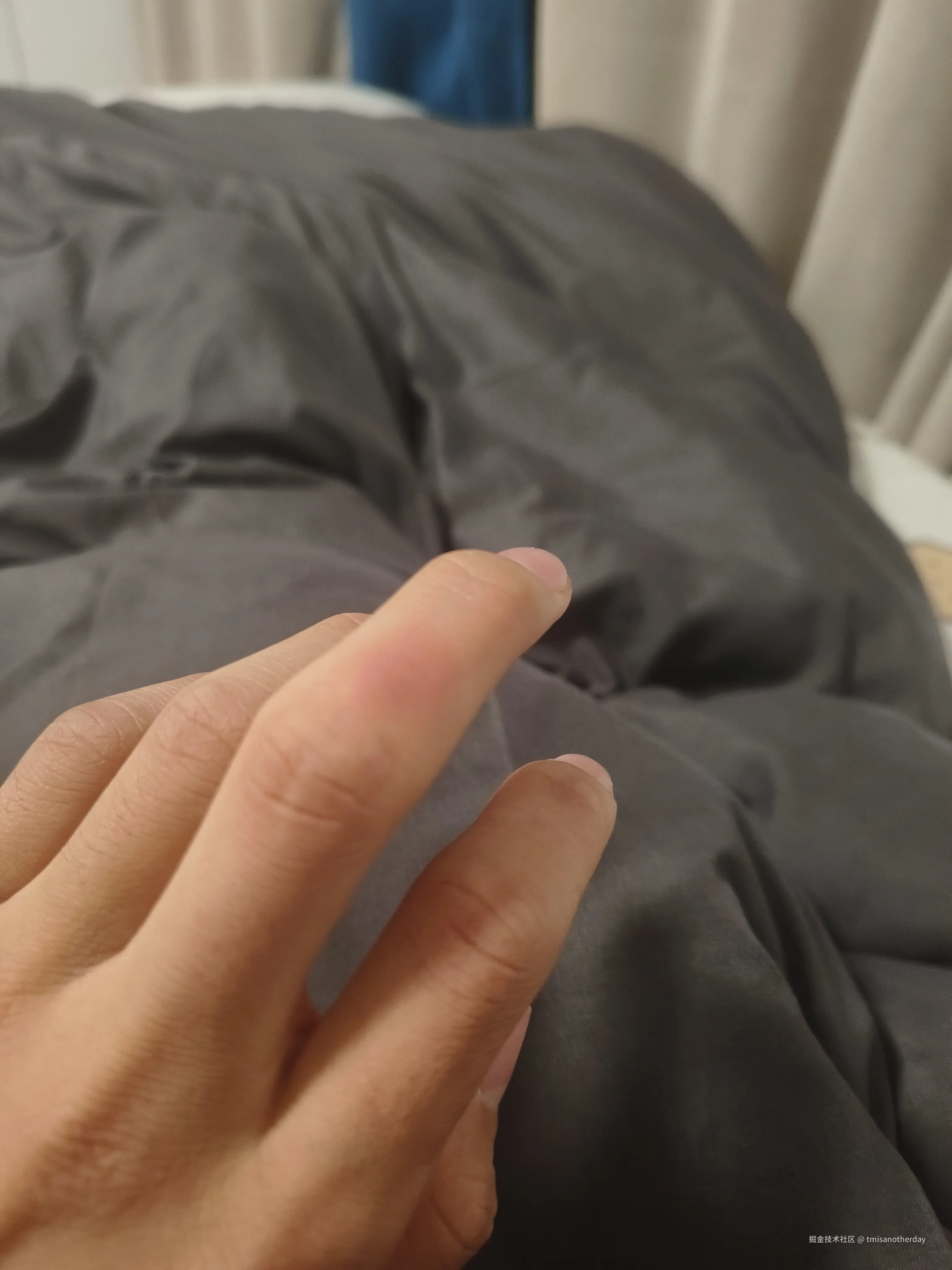 tmisanotherday于2026-03-15 21:58发布的图片