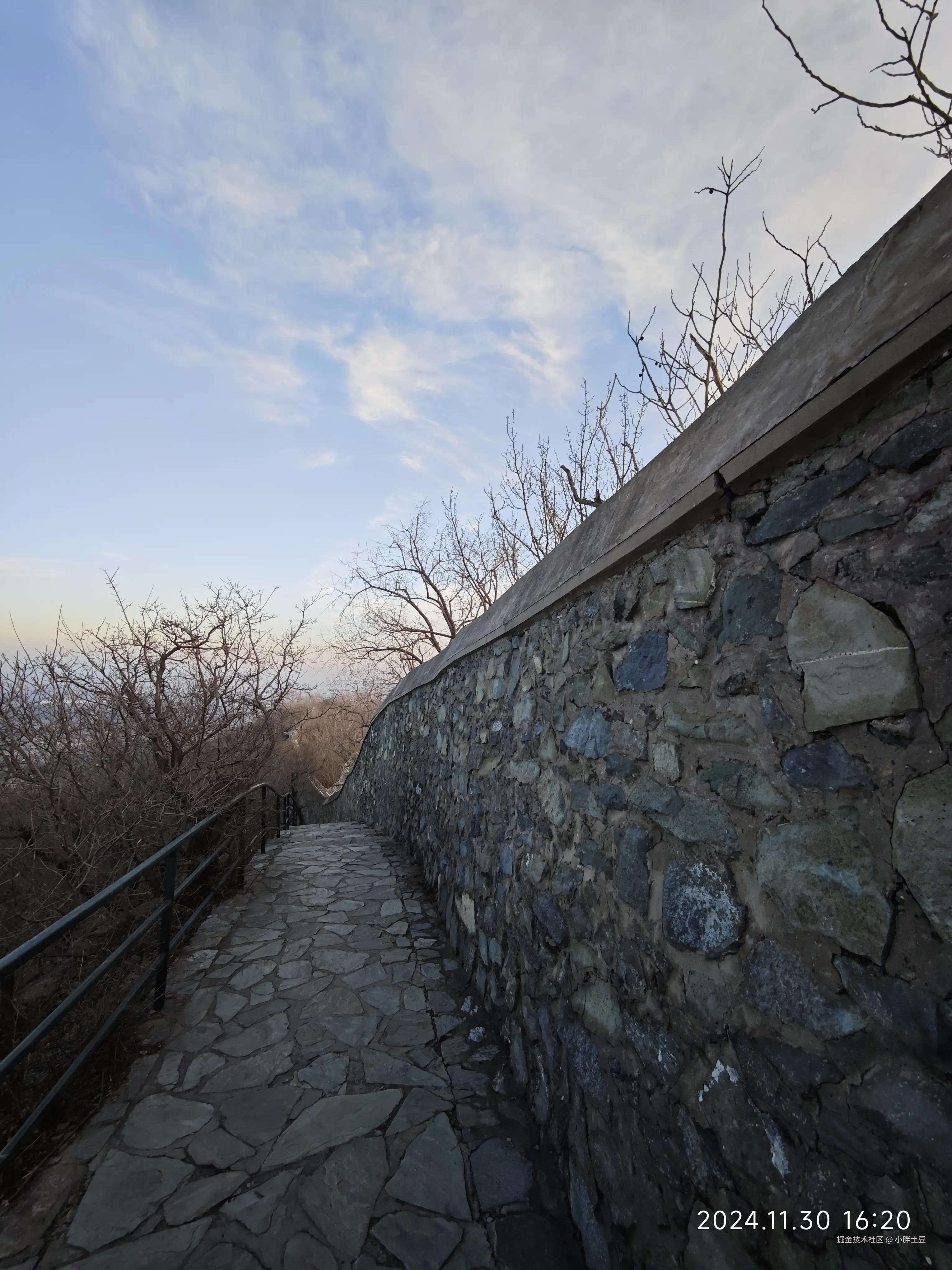 小胖土豆于2024-12-01 15:19发布的图片