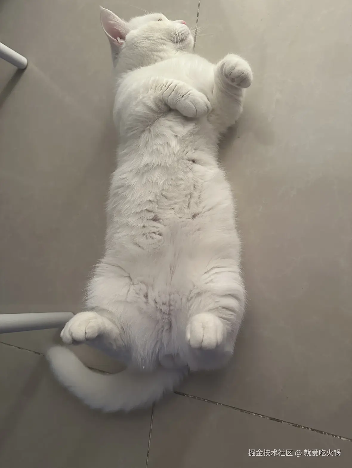 就爱吃火锅于2025-12-12 07:20发布的图片