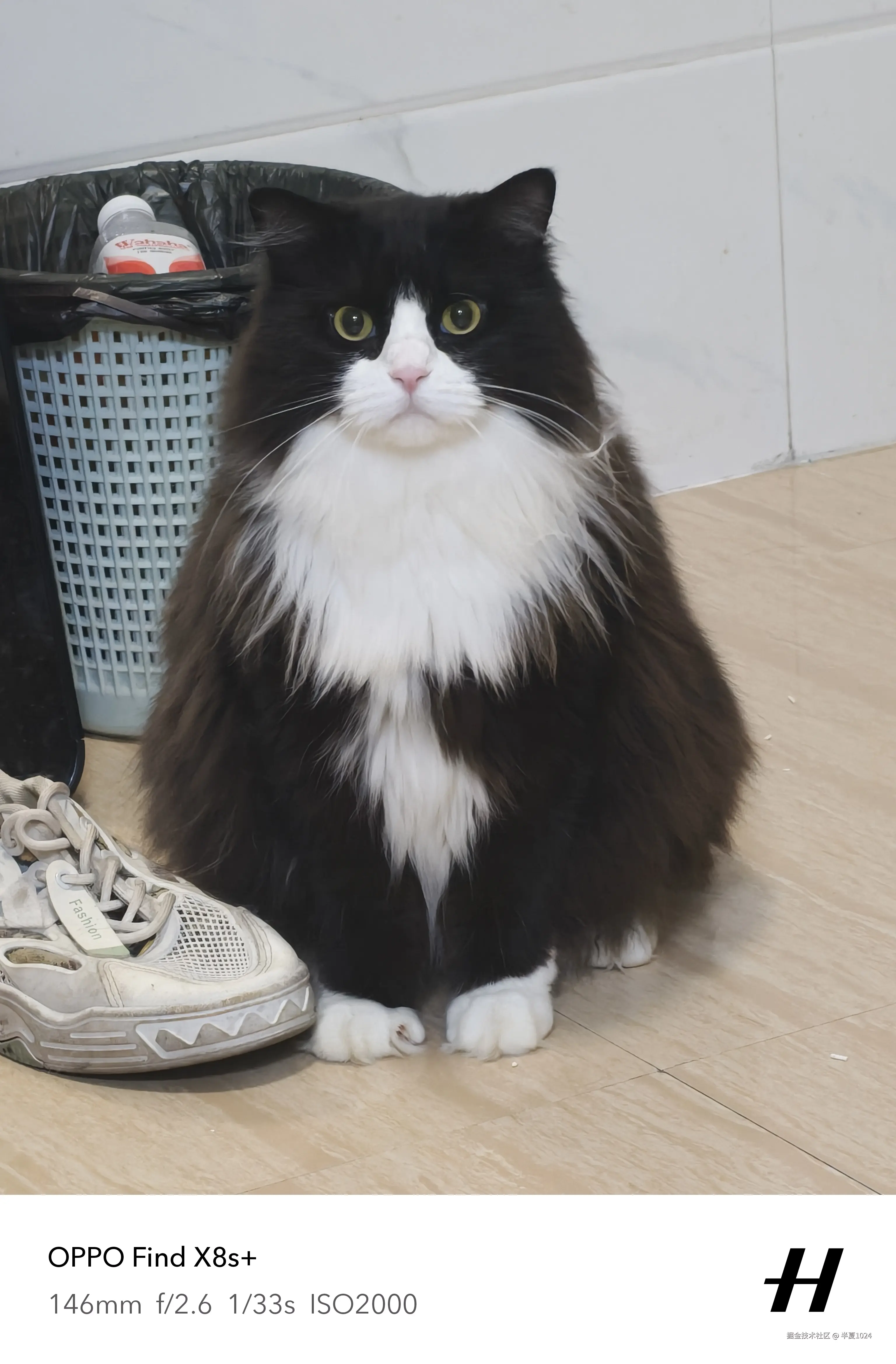 半夏1024于2025-07-02 15:38发布的图片