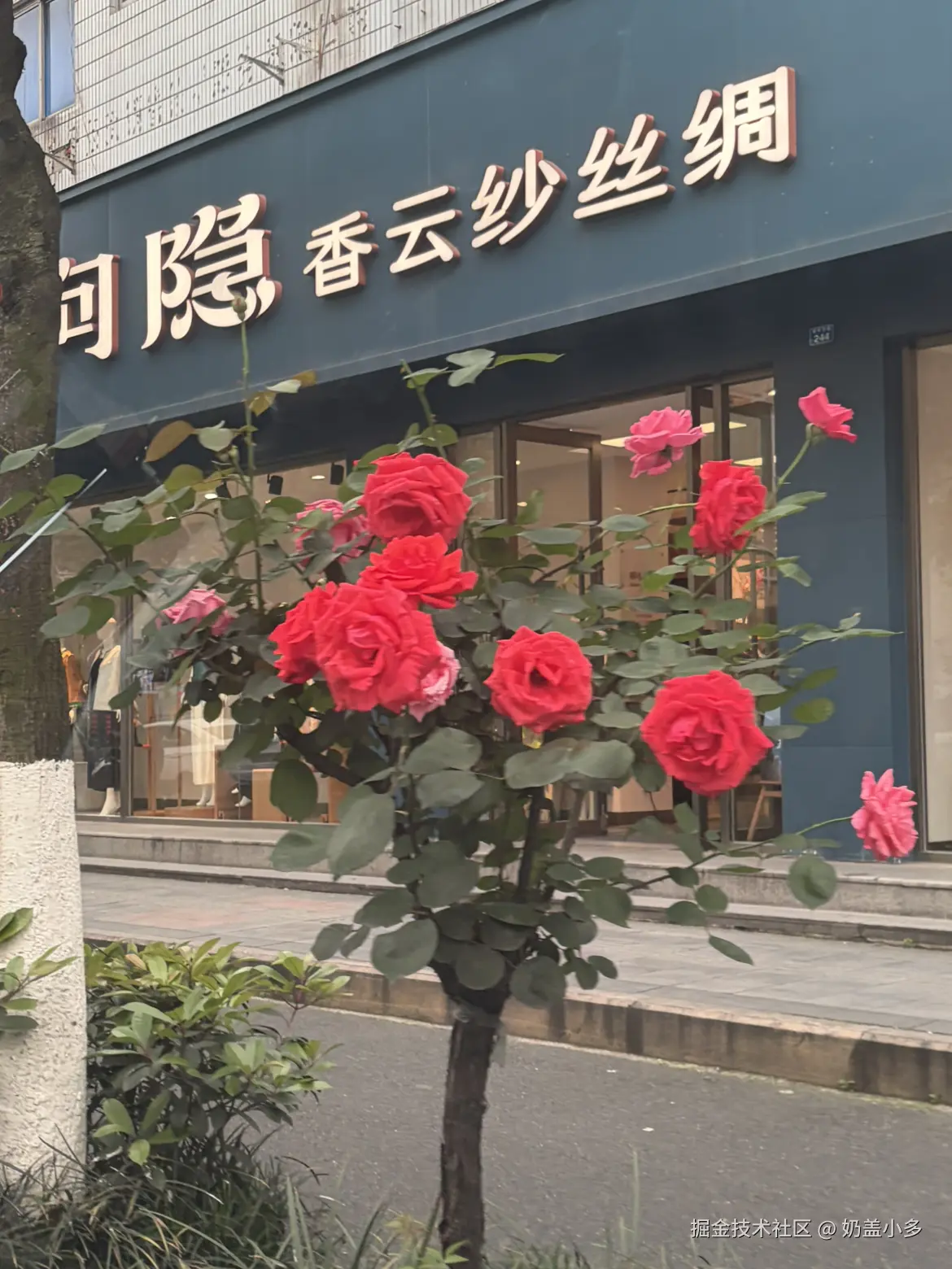 奶盖小多于2026-04-20 17:44发布的图片