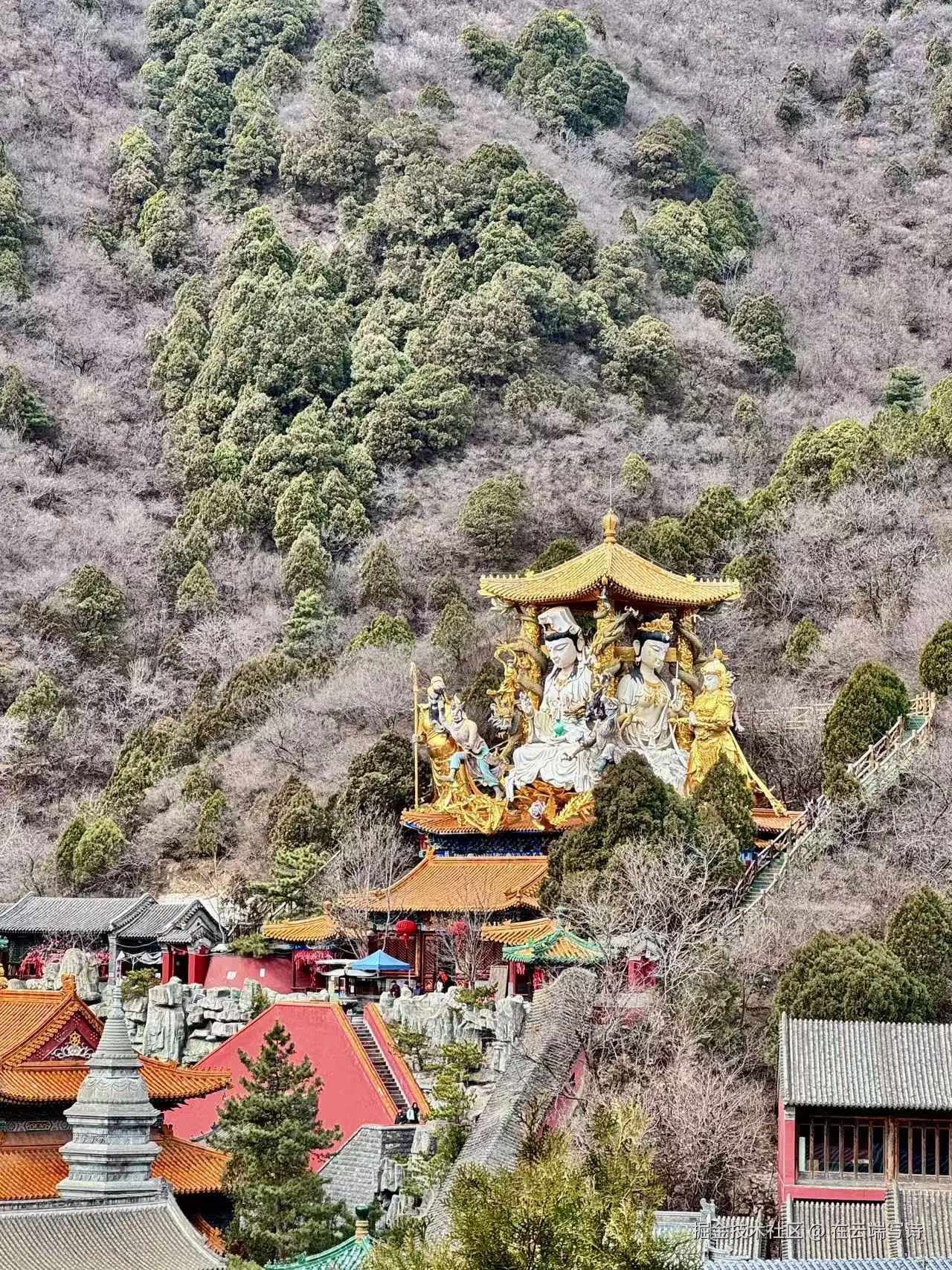 在云端写诗于2026-03-19 10:11发布的图片