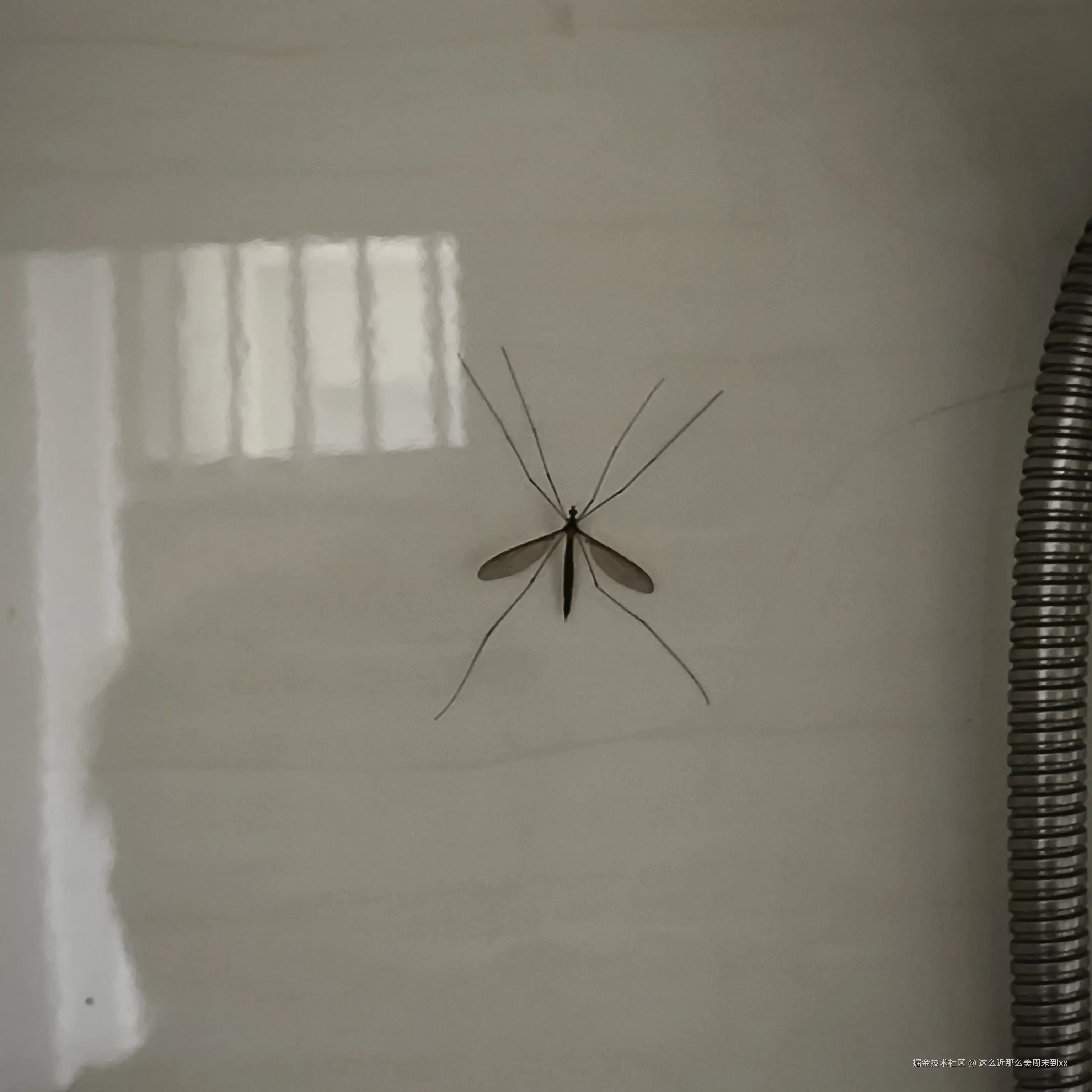 这么近那么美周末到xx于2025-04-04 14:45发布的图片