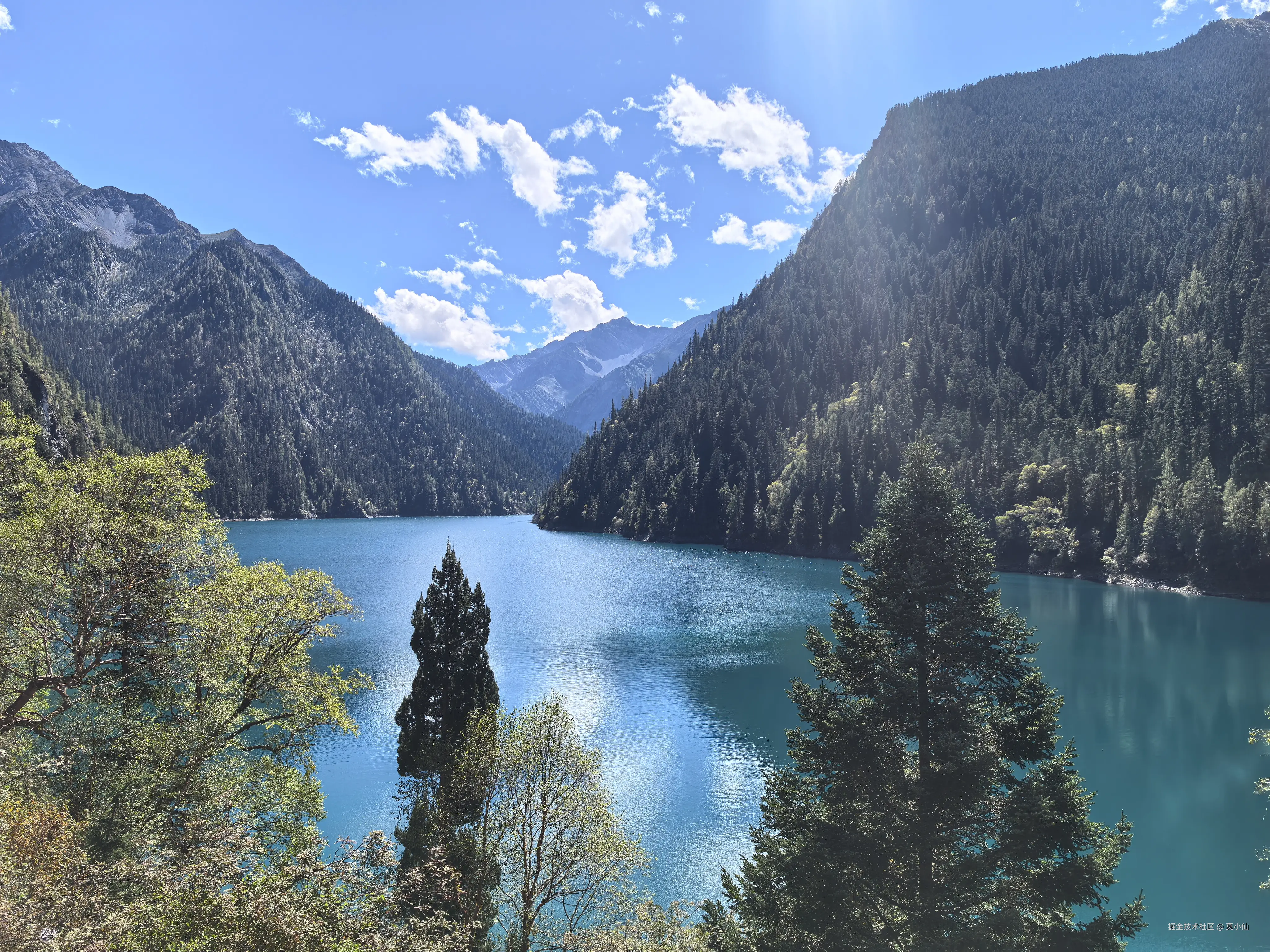 莫小仙于2025-10-09 02:54发布的图片