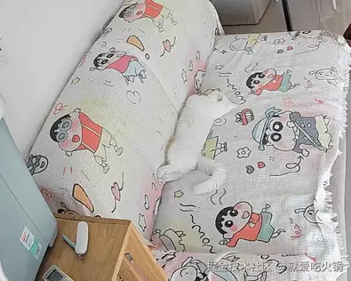 就爱吃火锅于2025-10-13 13:36发布的图片