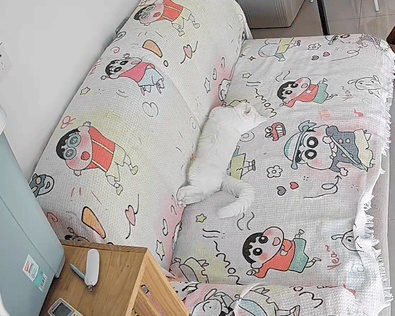 就爱吃火锅于2025-10-13 13:36发布的图片