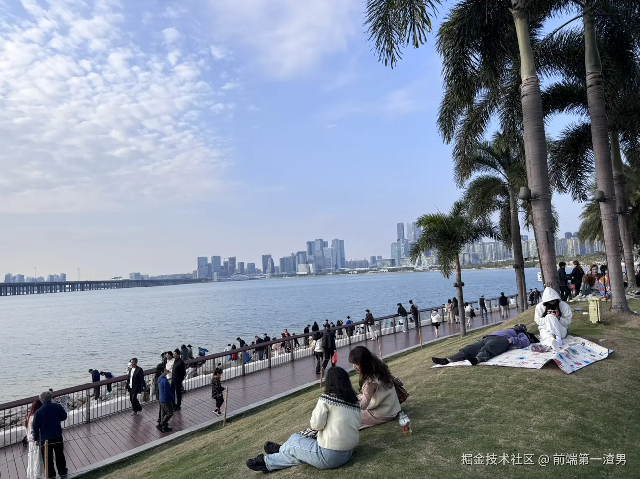 前端第一渣男于2026-03-03 10:11发布的图片