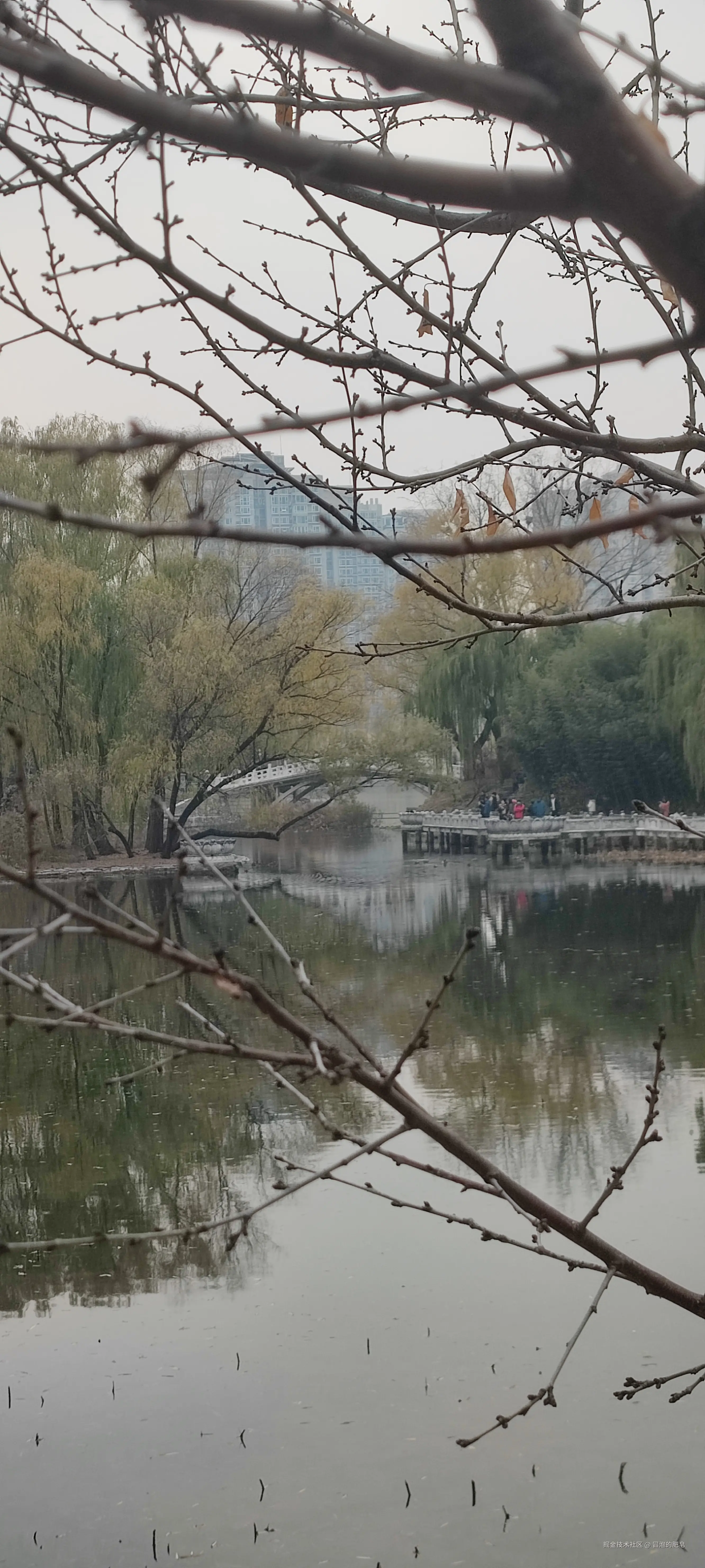 冒泡的肥皂于2024-11-24 16:42发布的图片