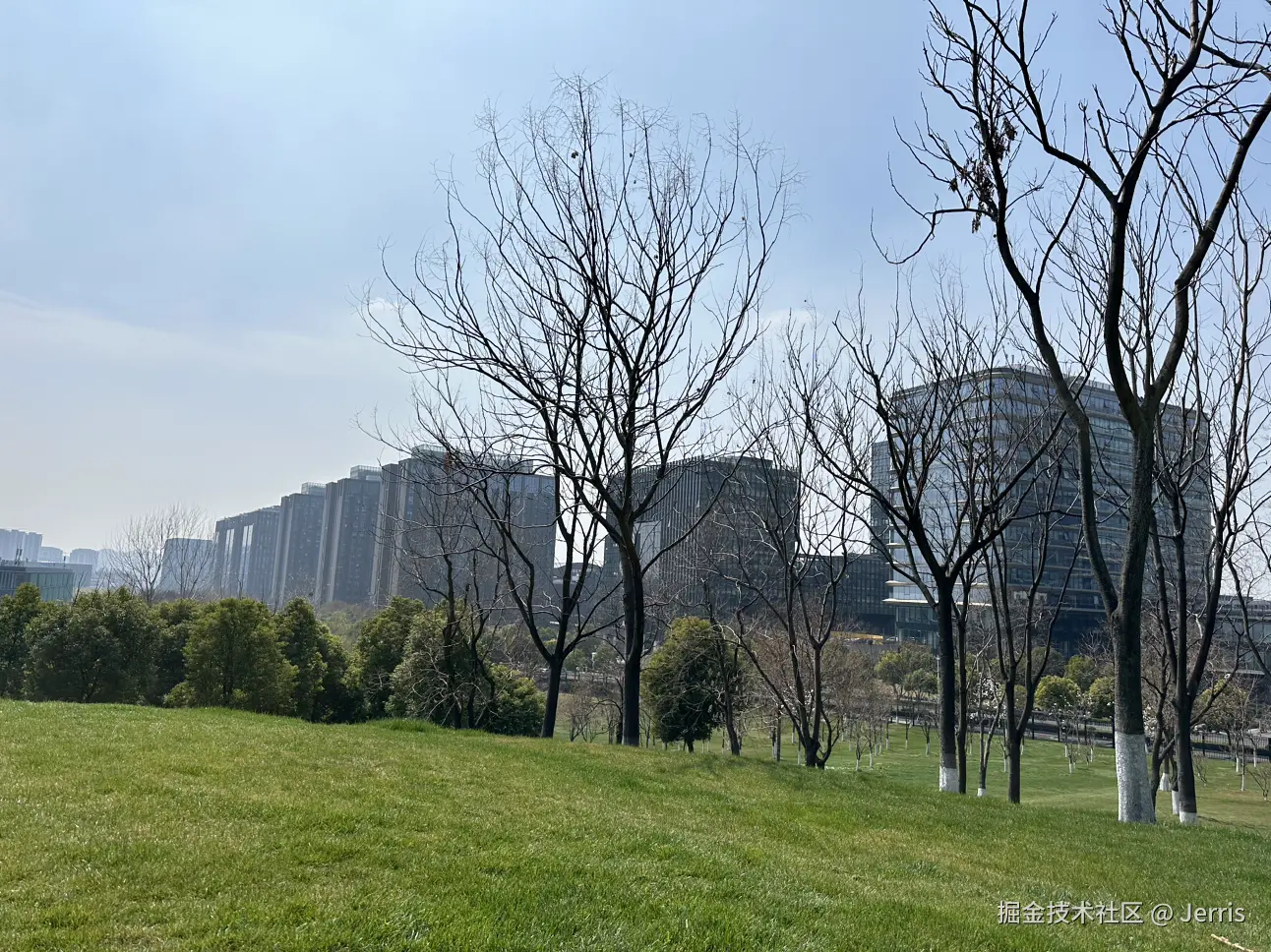 Jerris于2025-03-13 13:39发布的图片