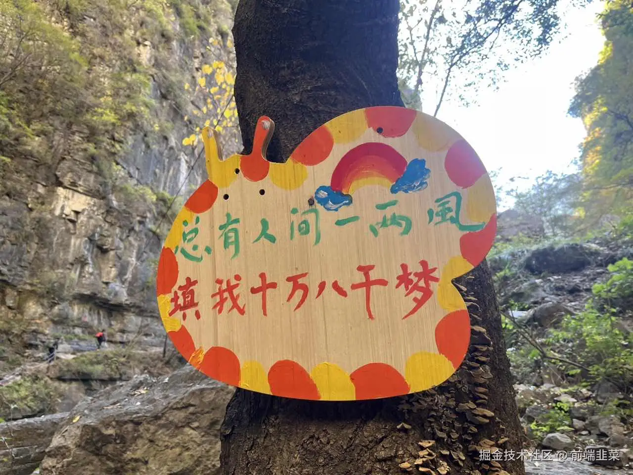 前端韭菜于2024-11-04 09:26发布的图片
