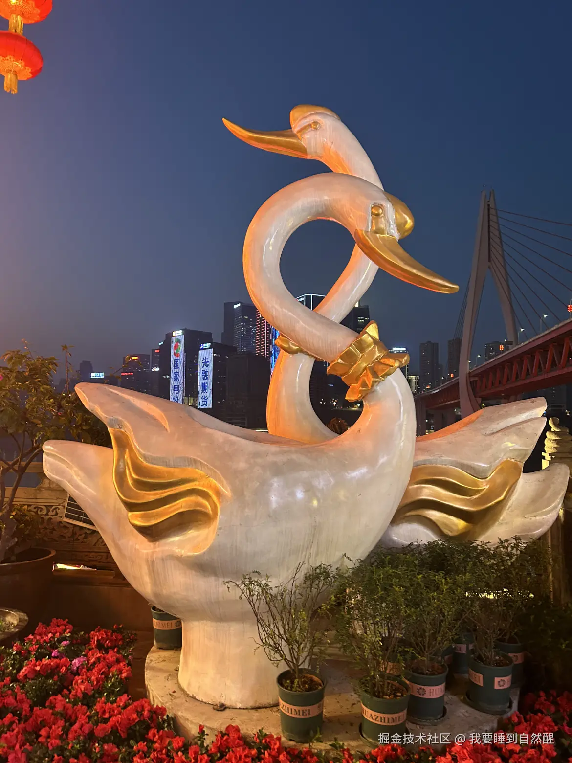 我要睡到自然醒于2026-02-25 03:29发布的图片