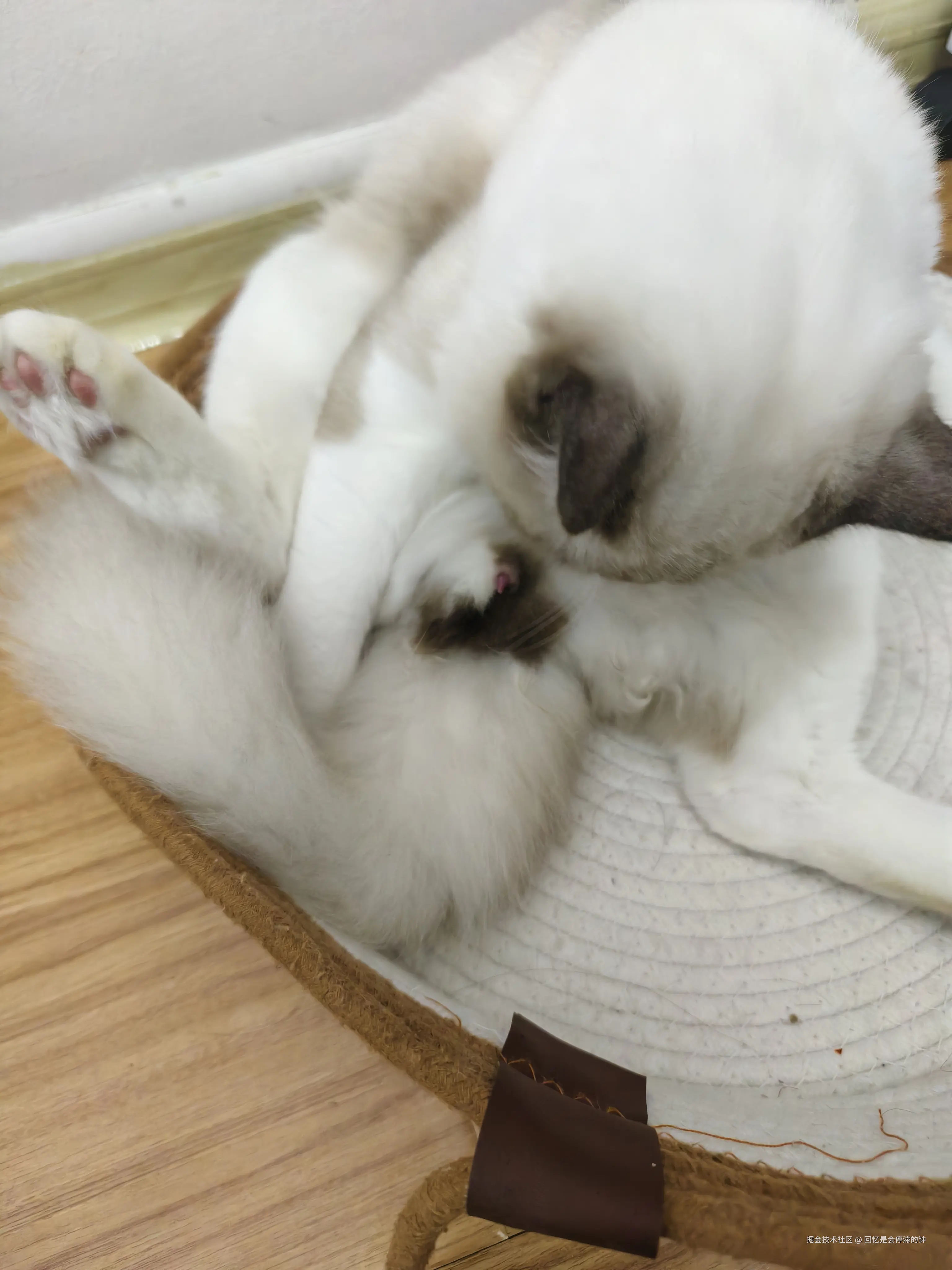 回忆是会停滞的钟于2025-10-29 09:35发布的图片