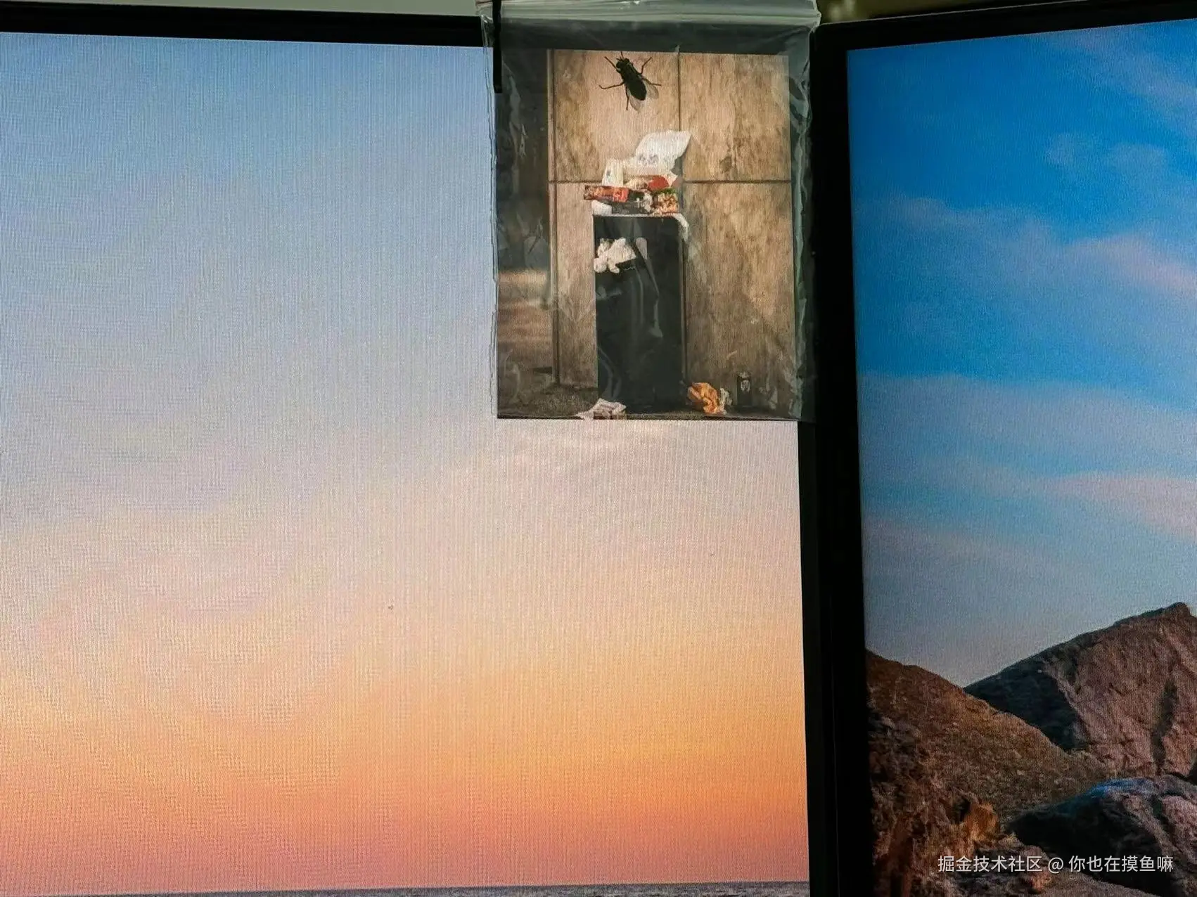 你也在摸鱼嘛于2024-08-06 09:52发布的图片