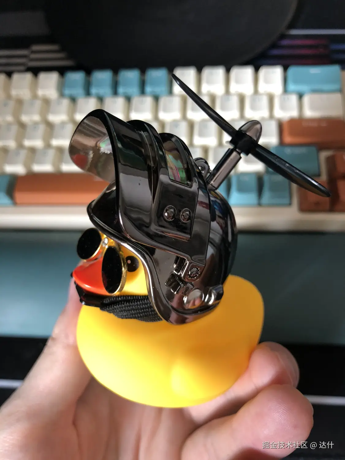 达什于2024-09-04 08:21发布的图片