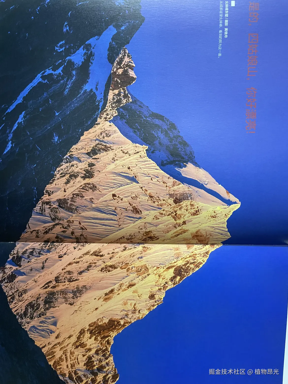 植物昂光于2026-03-16 20:38发布的图片