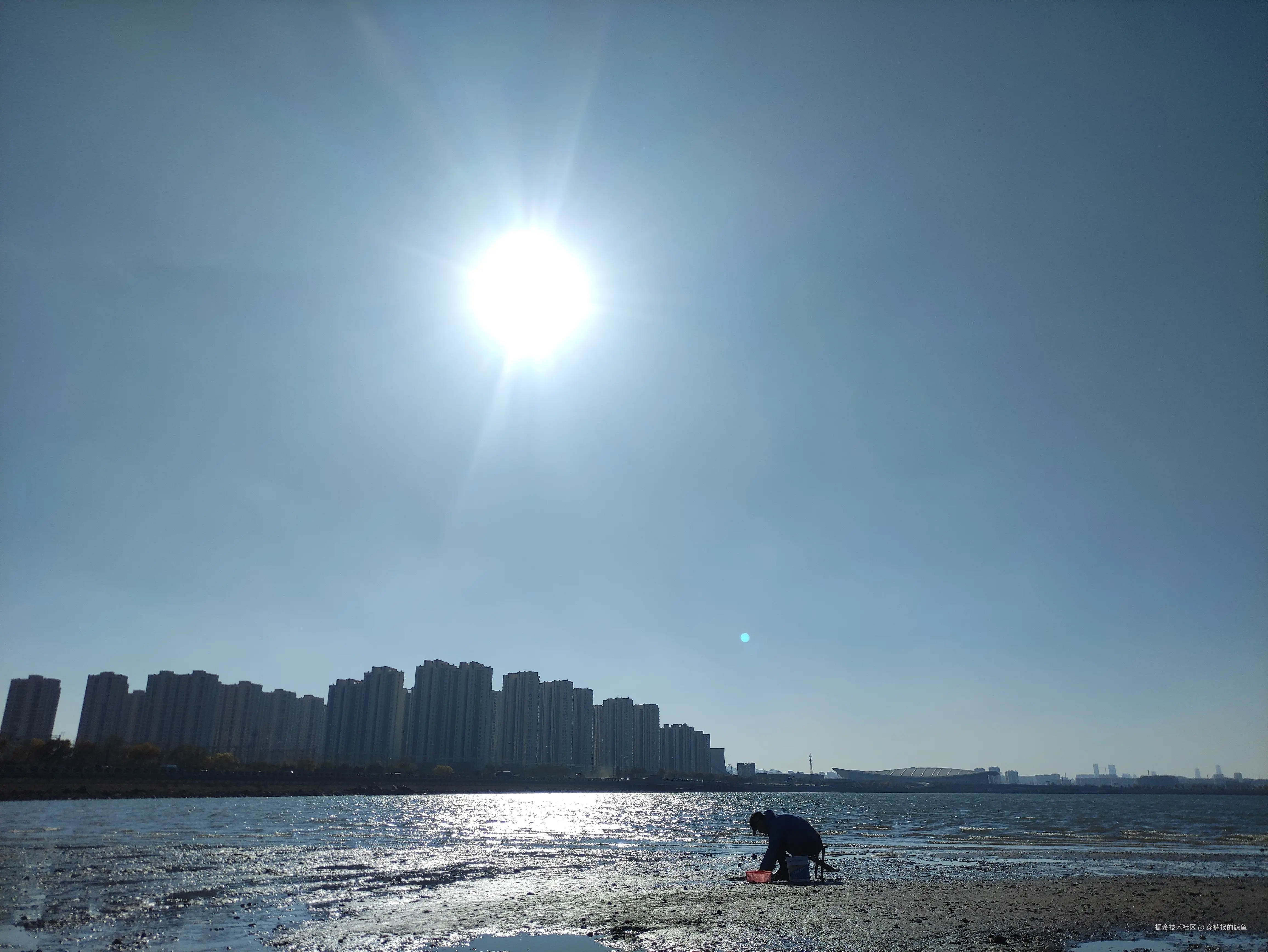 穿裤衩的鲸鱼于2024-11-05 11:28发布的图片