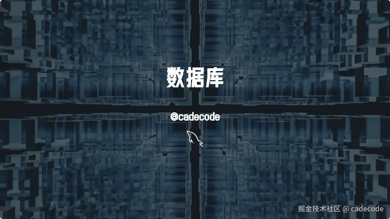 数据库