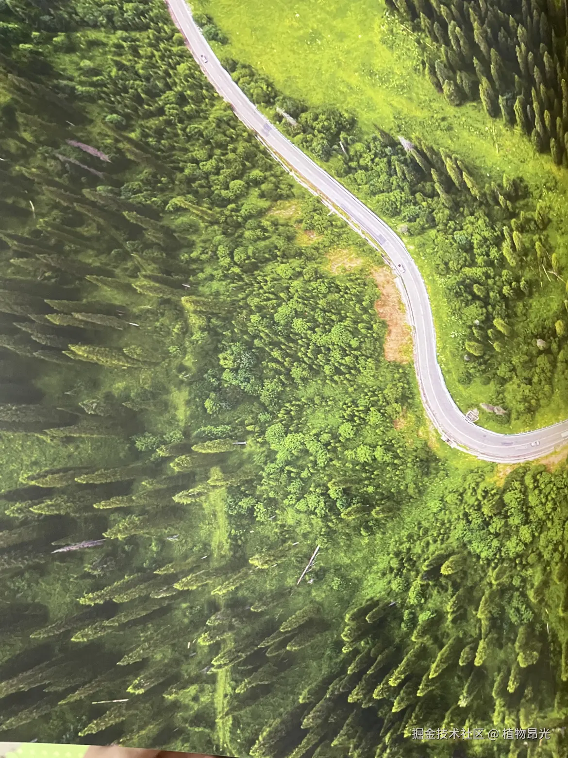 植物昂光于2026-04-29 21:31发布的图片