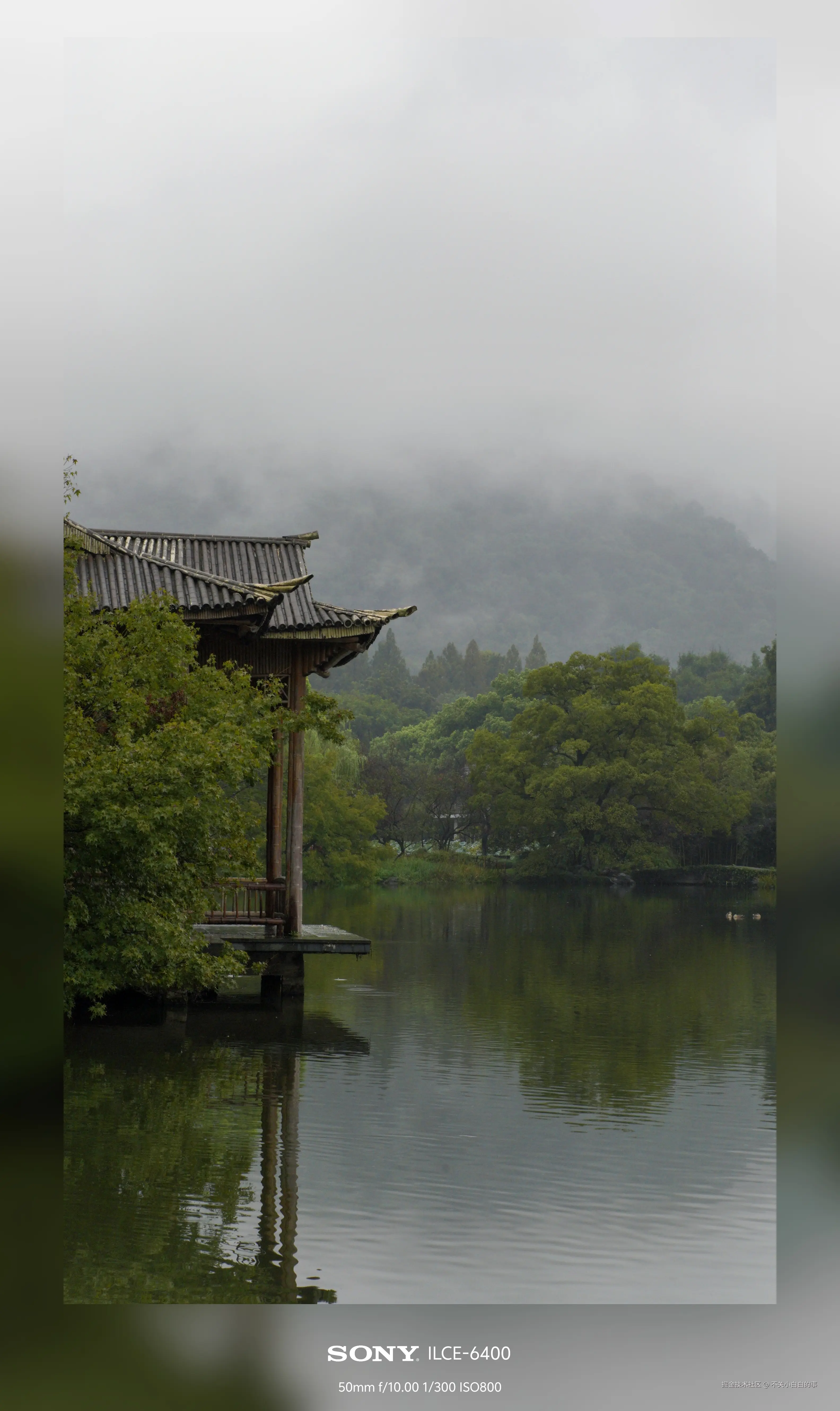 不关小白白的事于2024-10-08 14:03发布的图片