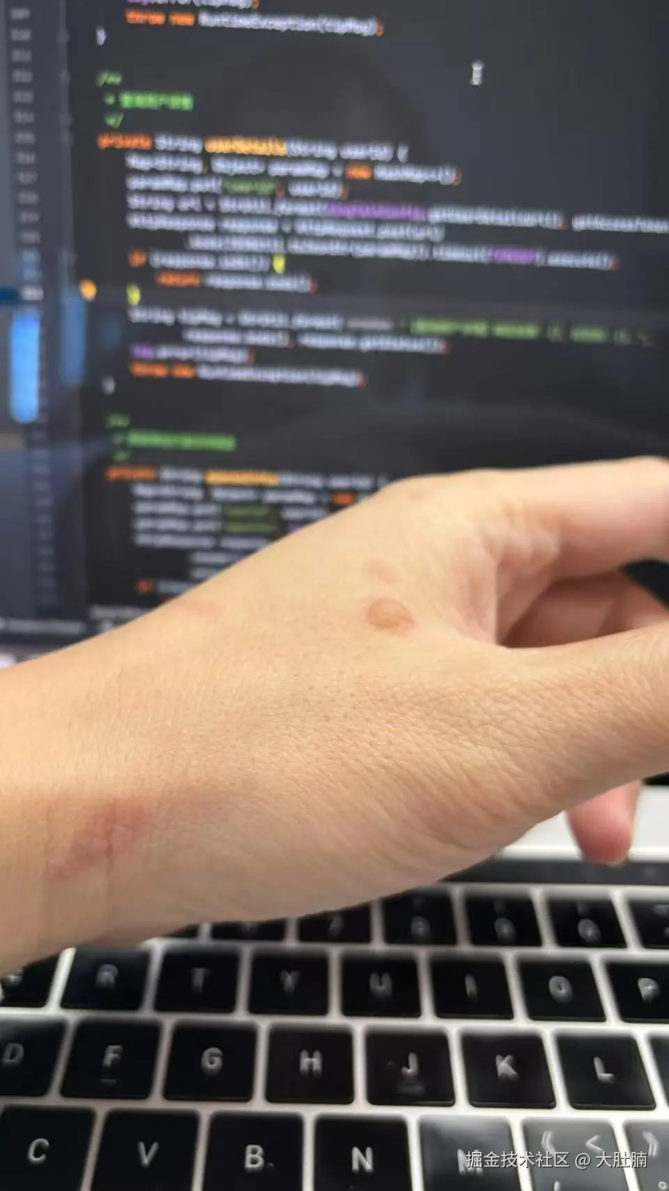 大肚腩于2025-11-19 09:21发布的图片