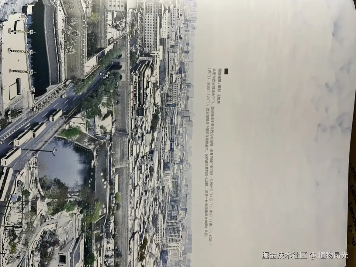 植物昂光于2026-04-01 20:37发布的图片