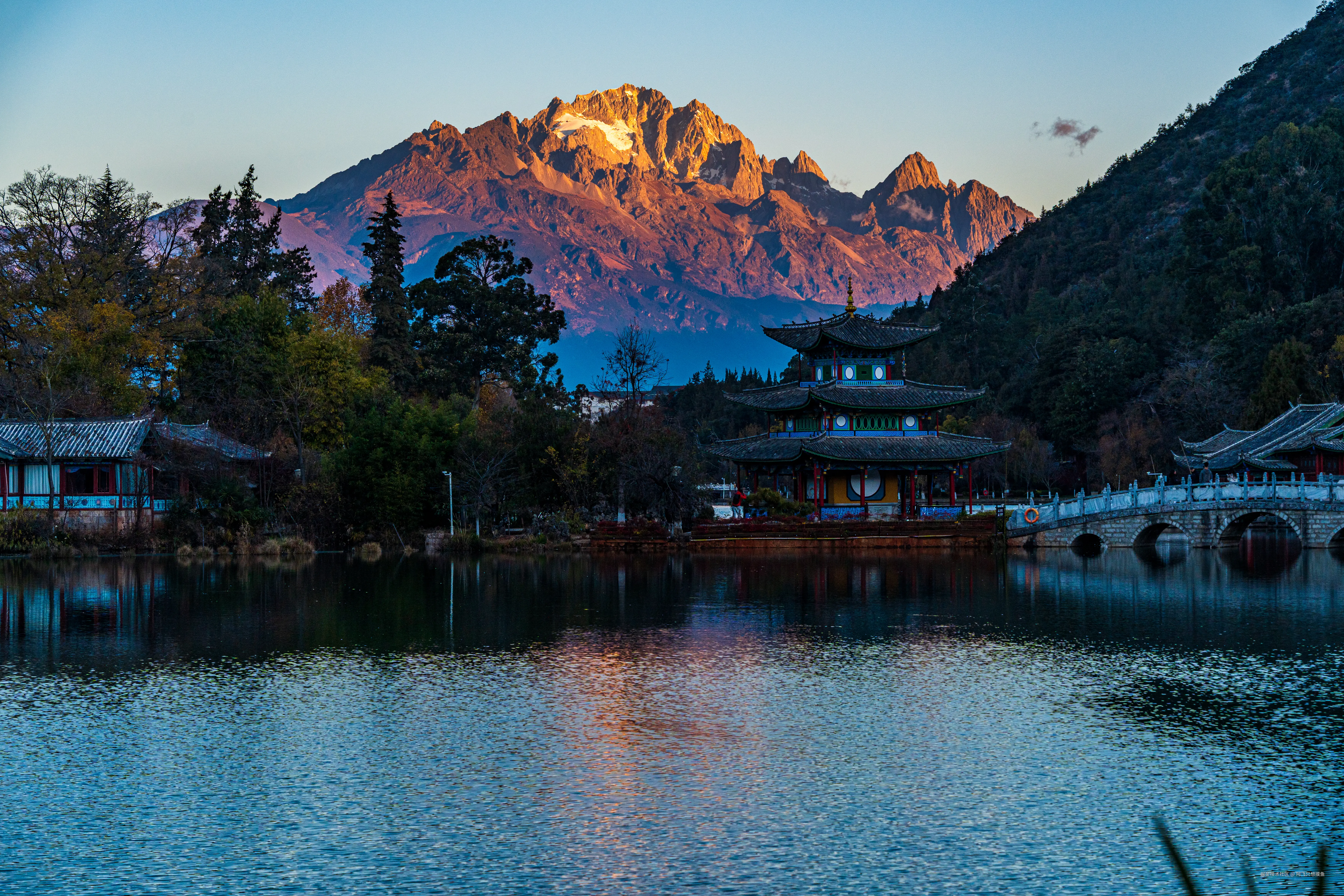 阿飞只想摸鱼于2026-02-11 14:49发布的图片