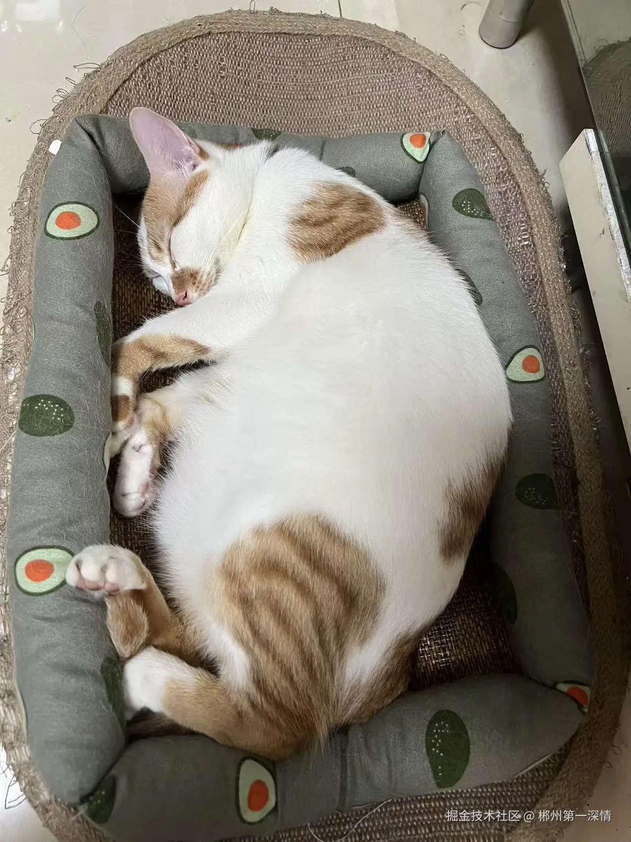 郴州第一深情于2025-09-12 14:22发布的图片