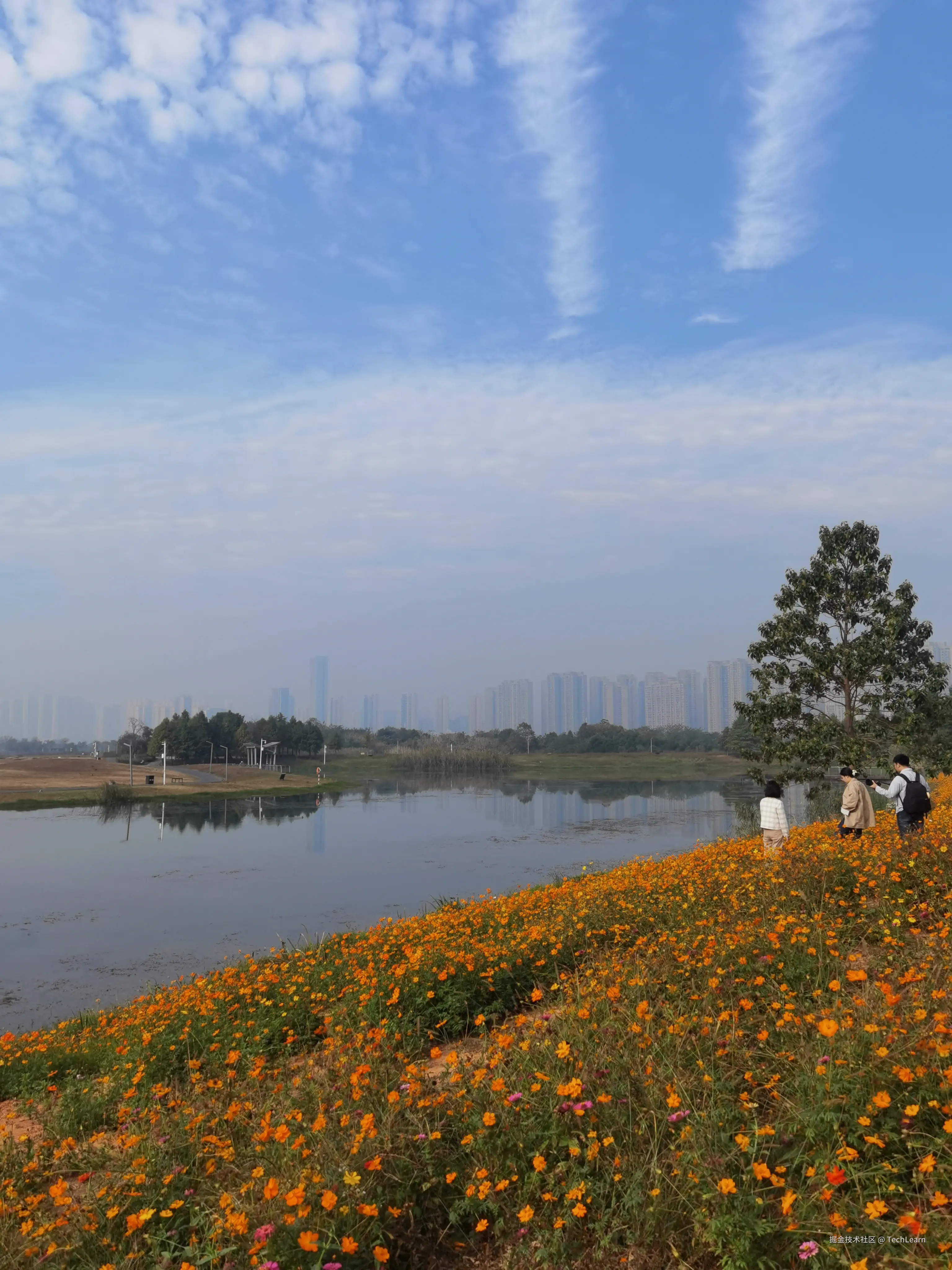 TechLearn于2024-11-09 09:36发布的图片