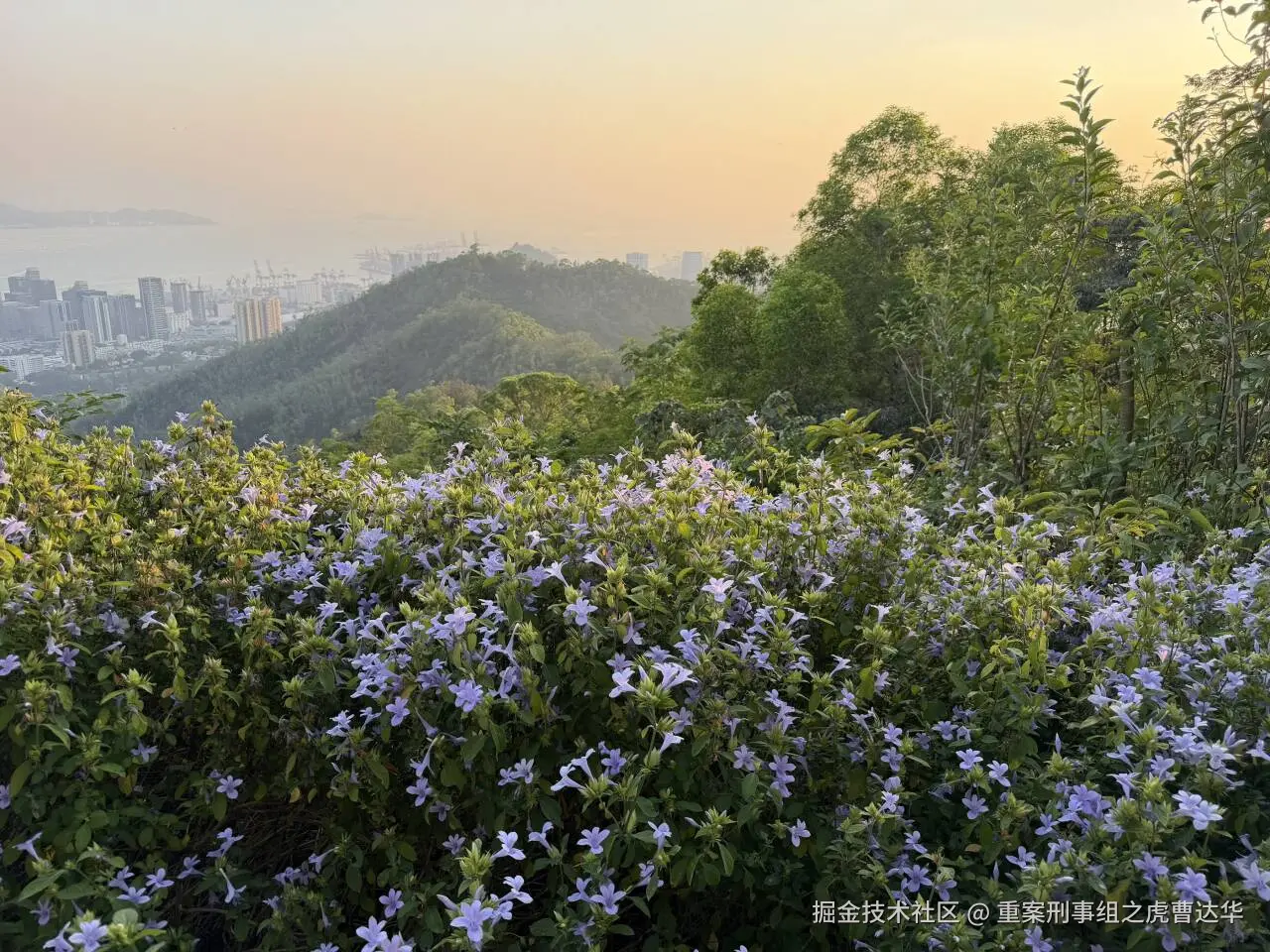 重案刑事组之虎曹达华于2025-12-09 10:01发布的图片