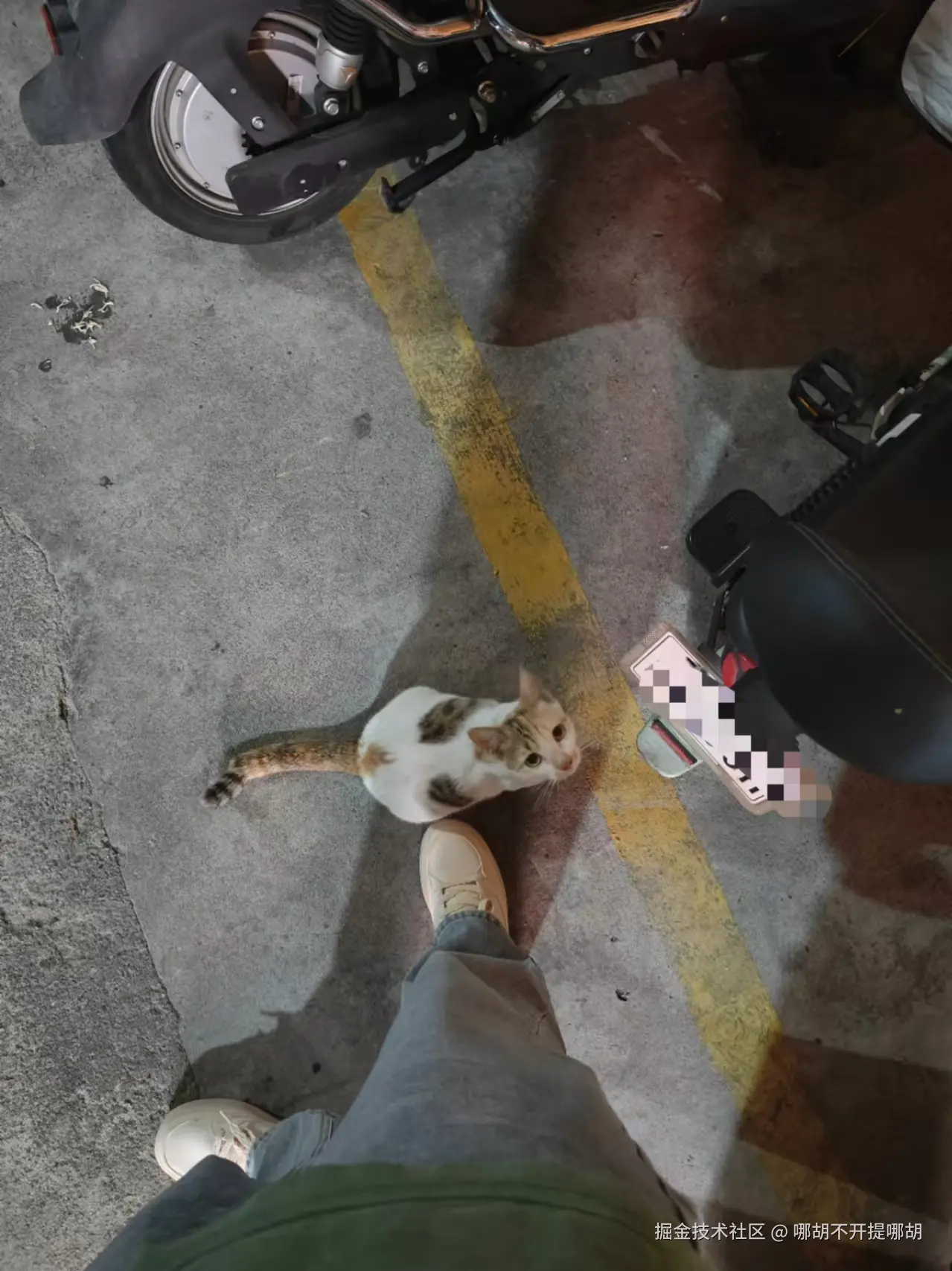 哪胡不开提哪胡于2024-10-18 08:59发布的图片