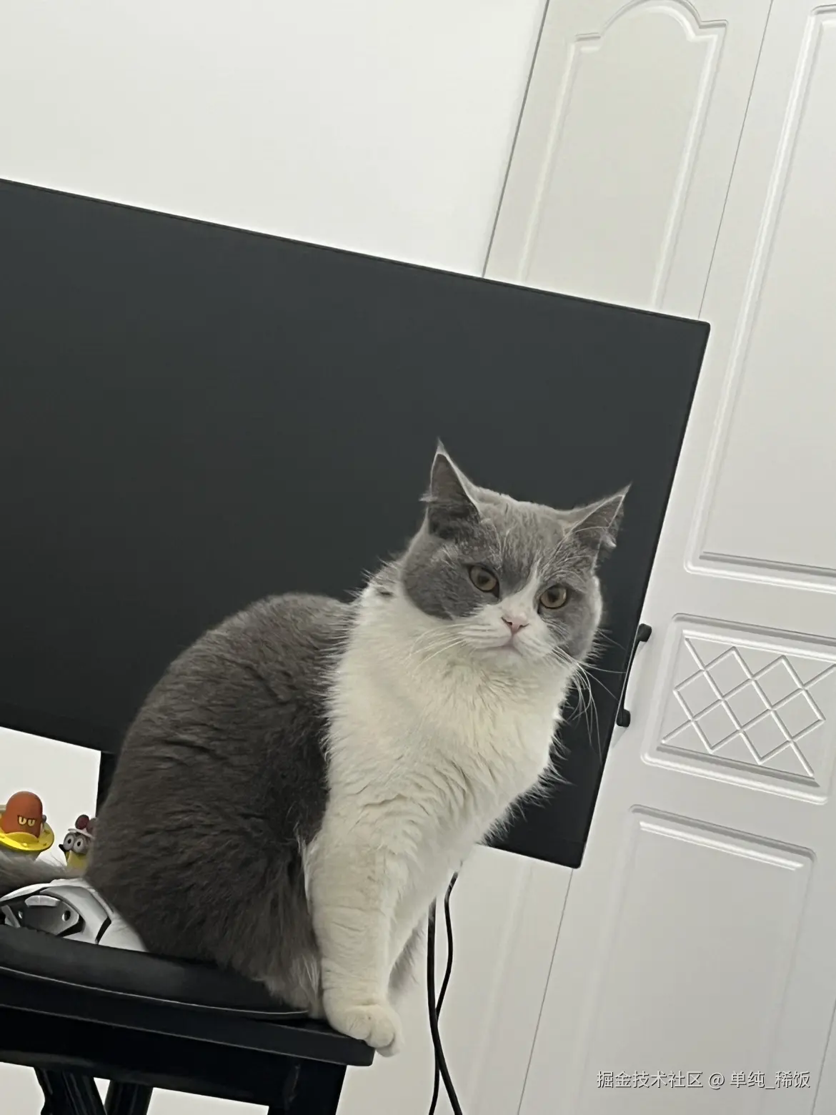 单纯_稀饭于2025-01-09 08:15发布的图片