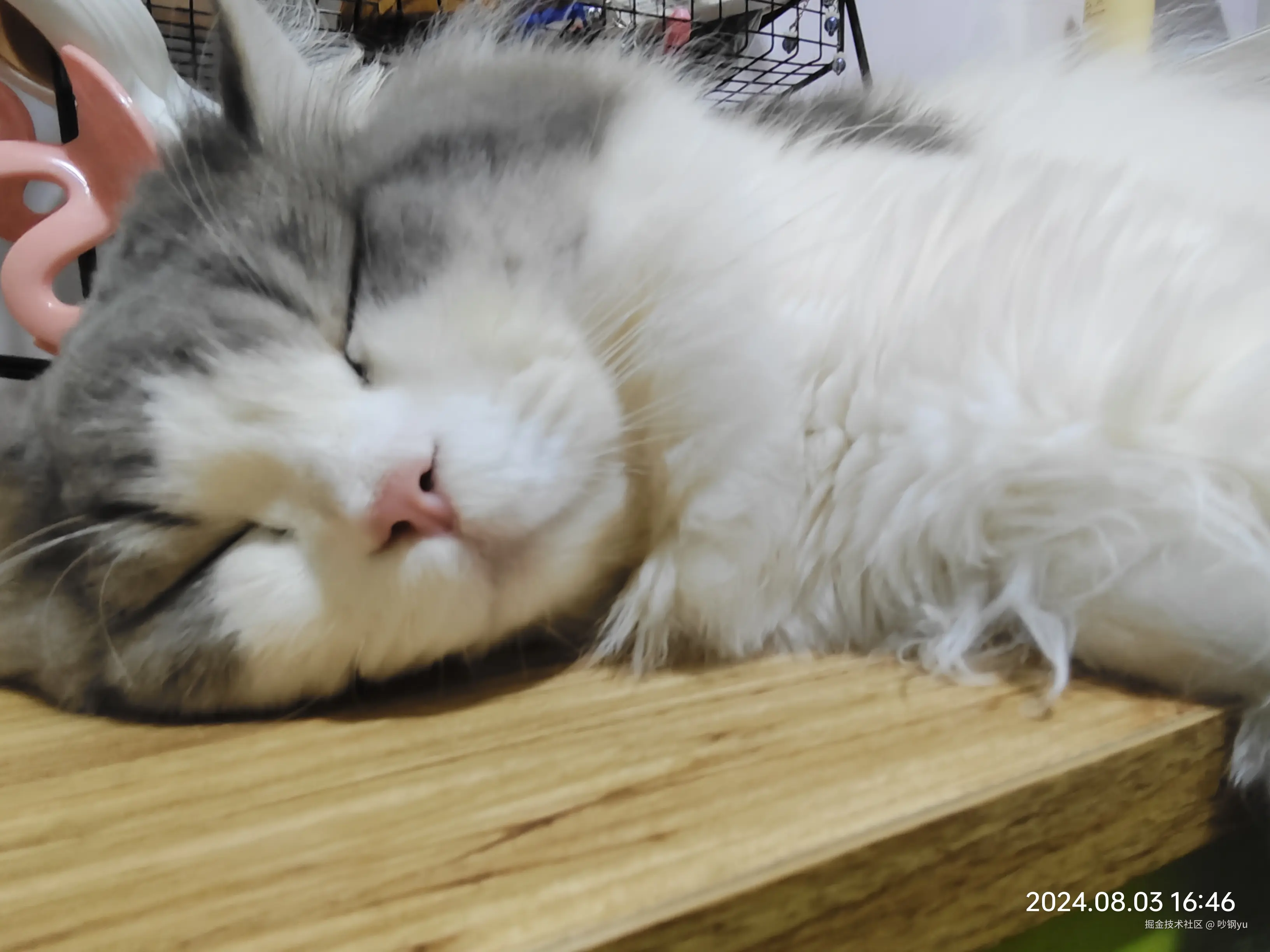 吵钢yu于2024-10-16 12:33发布的图片