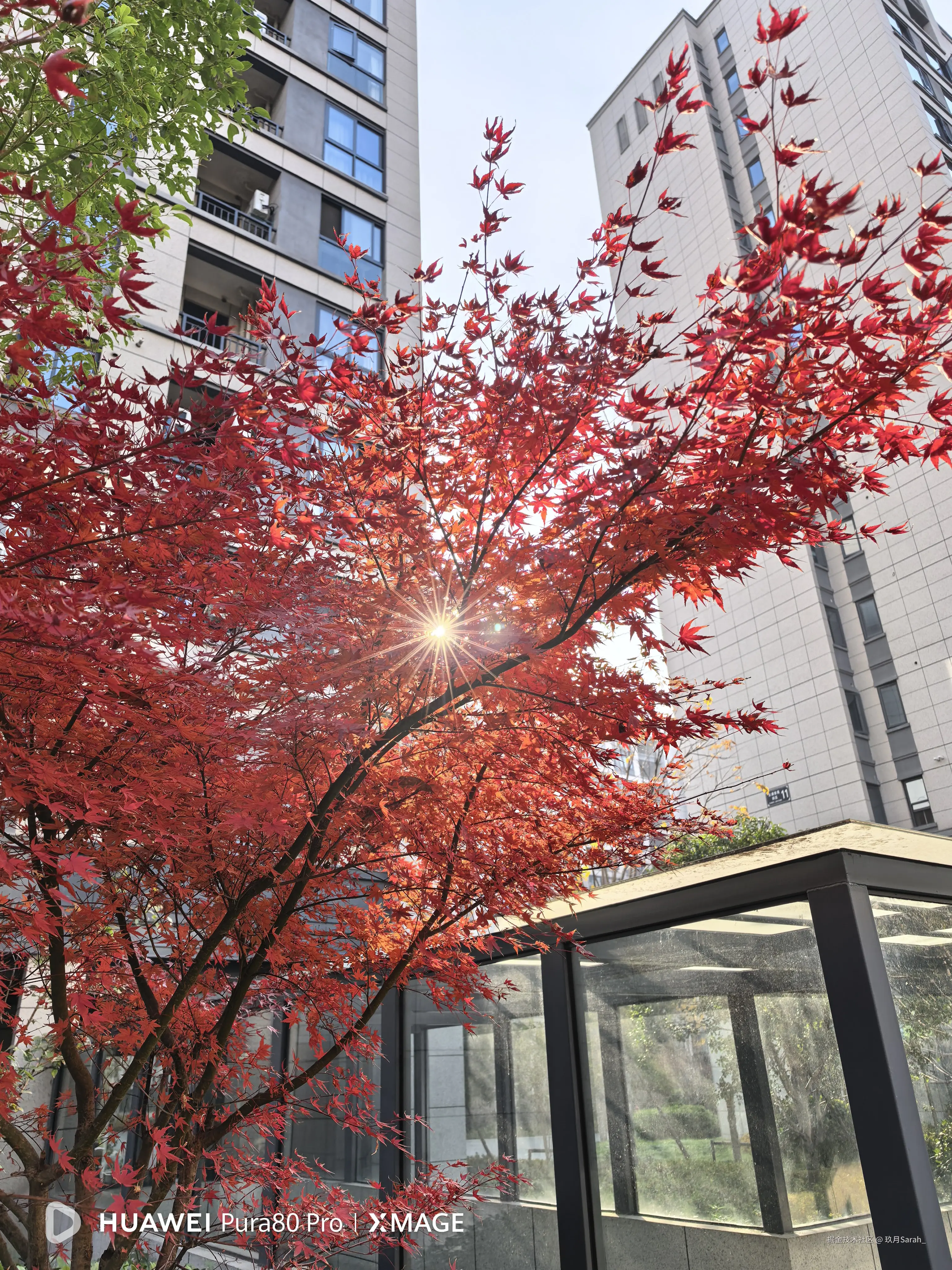 玖月Sarah_于2025-12-10 17:48发布的图片