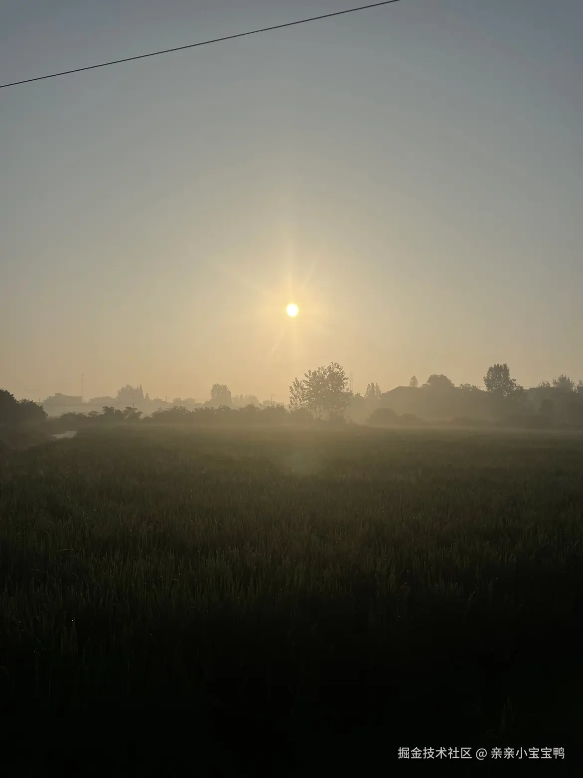 亲亲小宝宝鸭于2025-10-10 16:21发布的图片