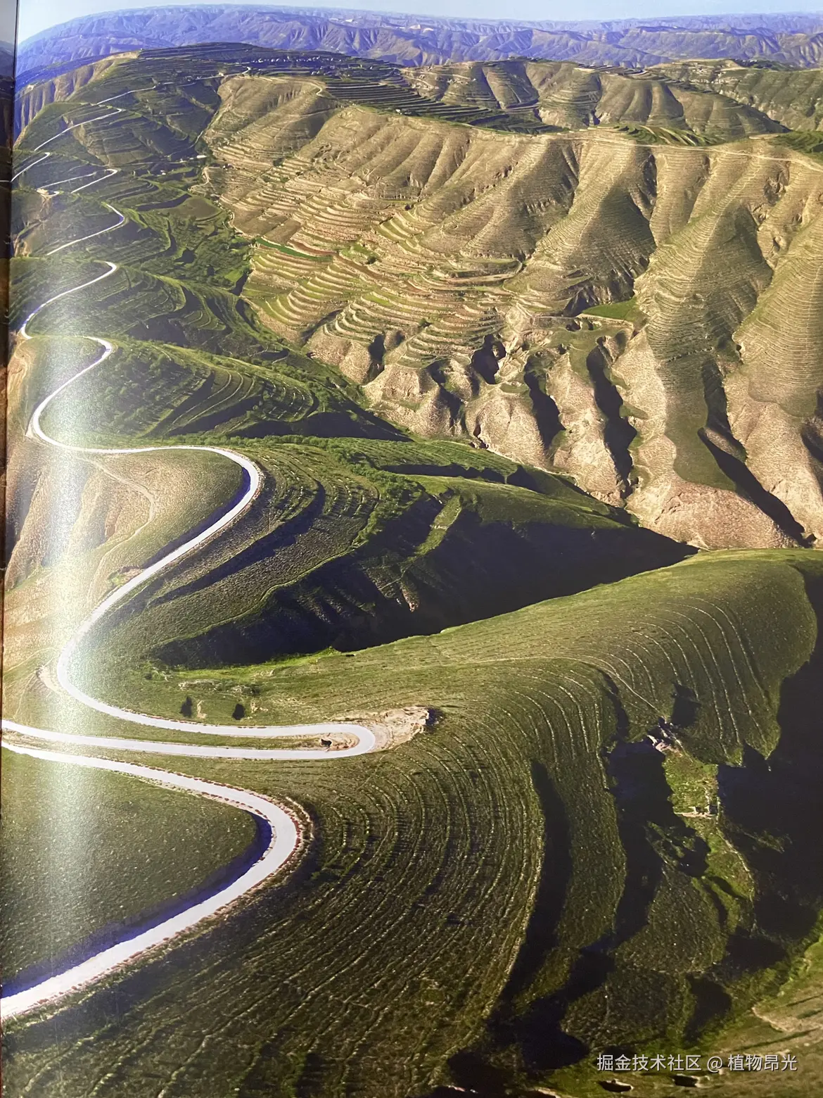 植物昂光于2026-03-24 20:49发布的图片