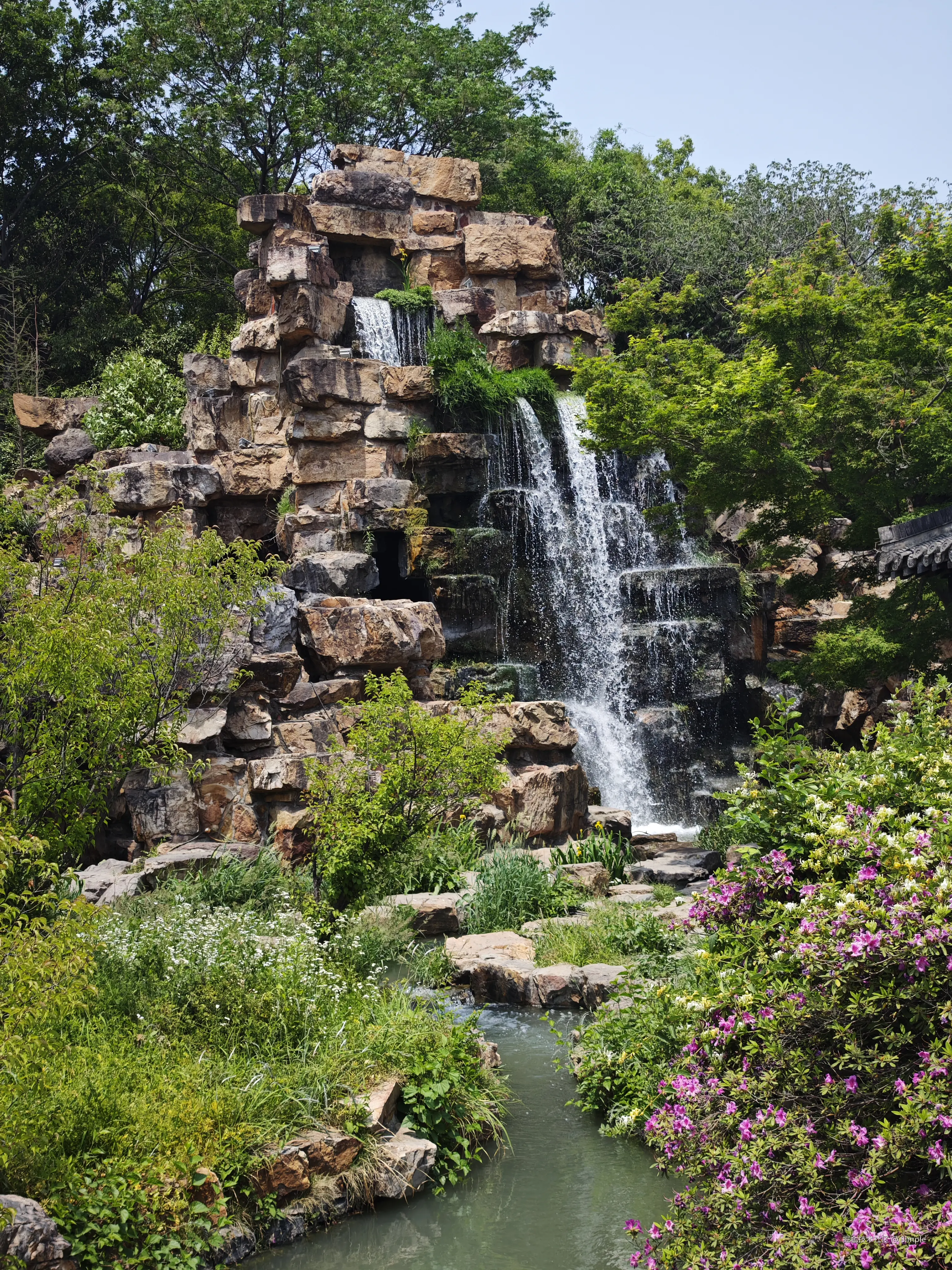 Simple于2025-05-07 17:50发布的图片