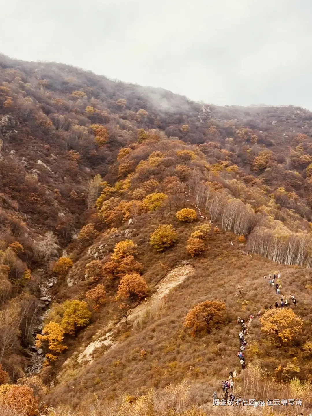 在云端写诗于2025-10-20 10:47发布的图片