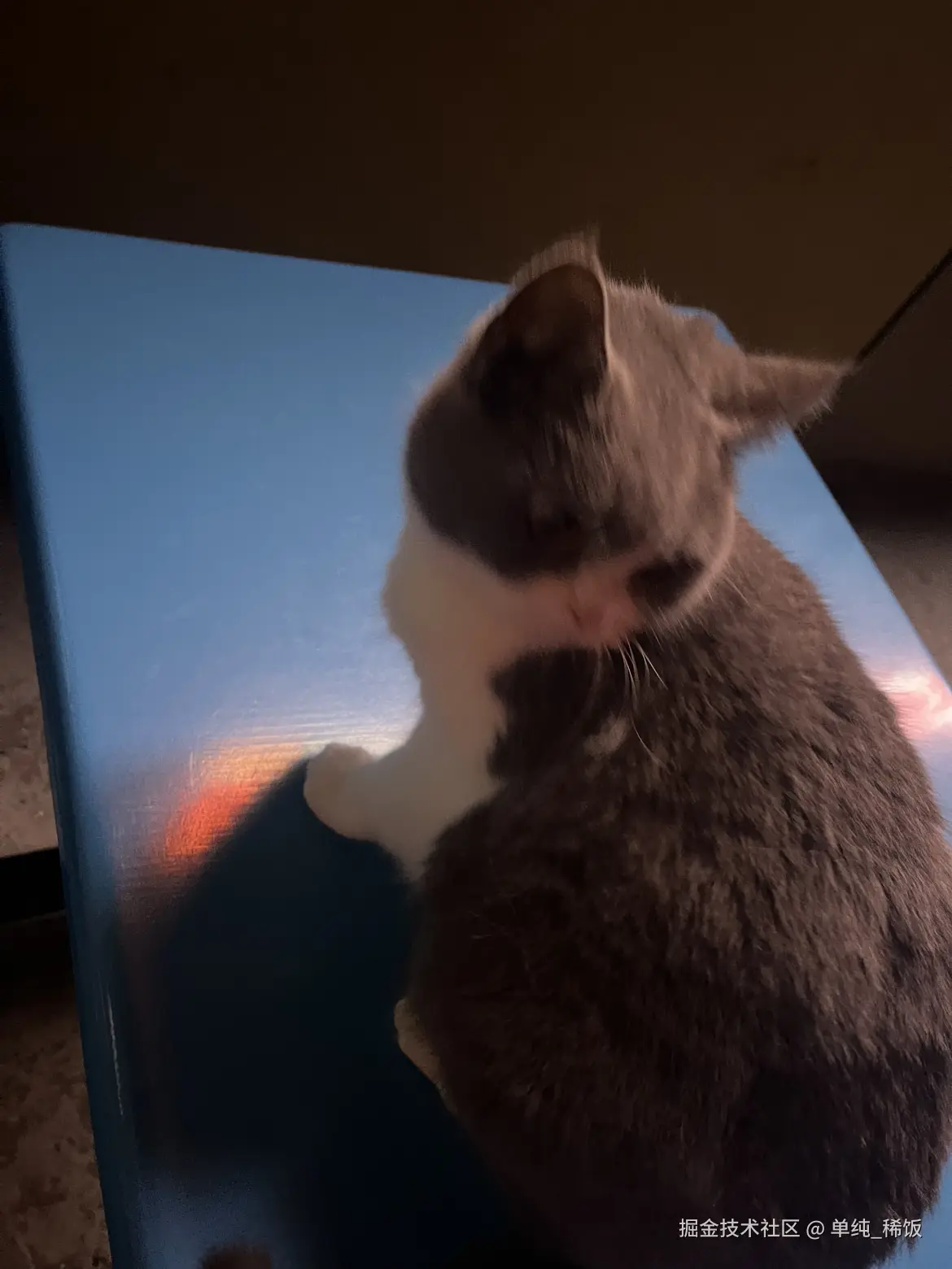 单纯_稀饭于2025-01-21 08:04发布的图片