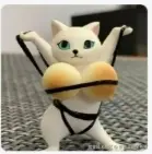 梦想是回家养猪于2025-09-12 02:21发布的图片