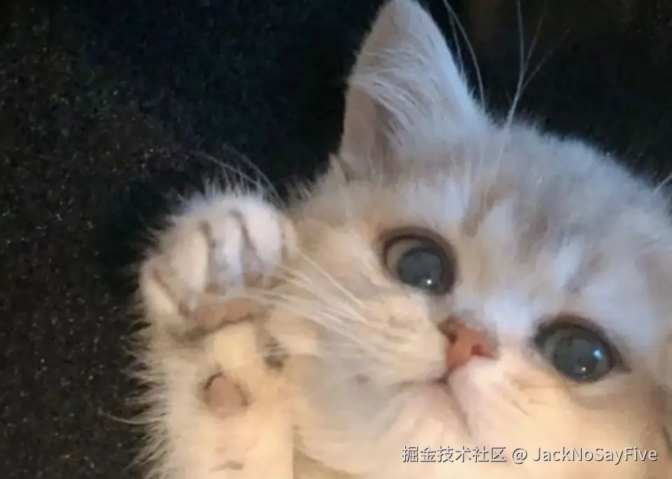 JackNoSayFive于2024-07-18 14:42发布的图片