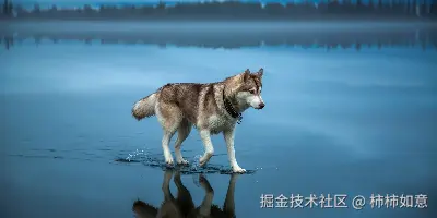 杂项