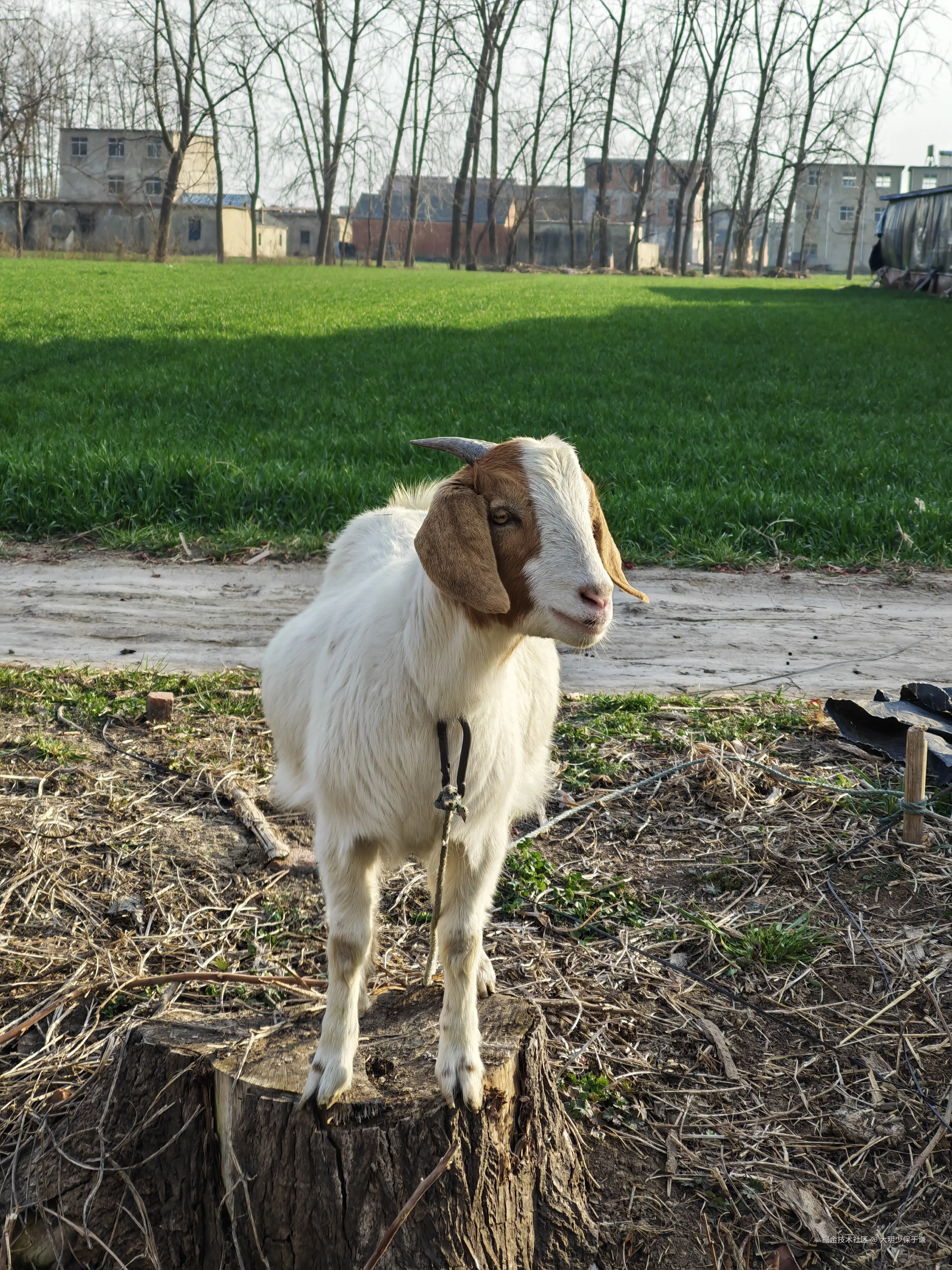 大明少保于谦于2026-02-25 16:39发布的图片
