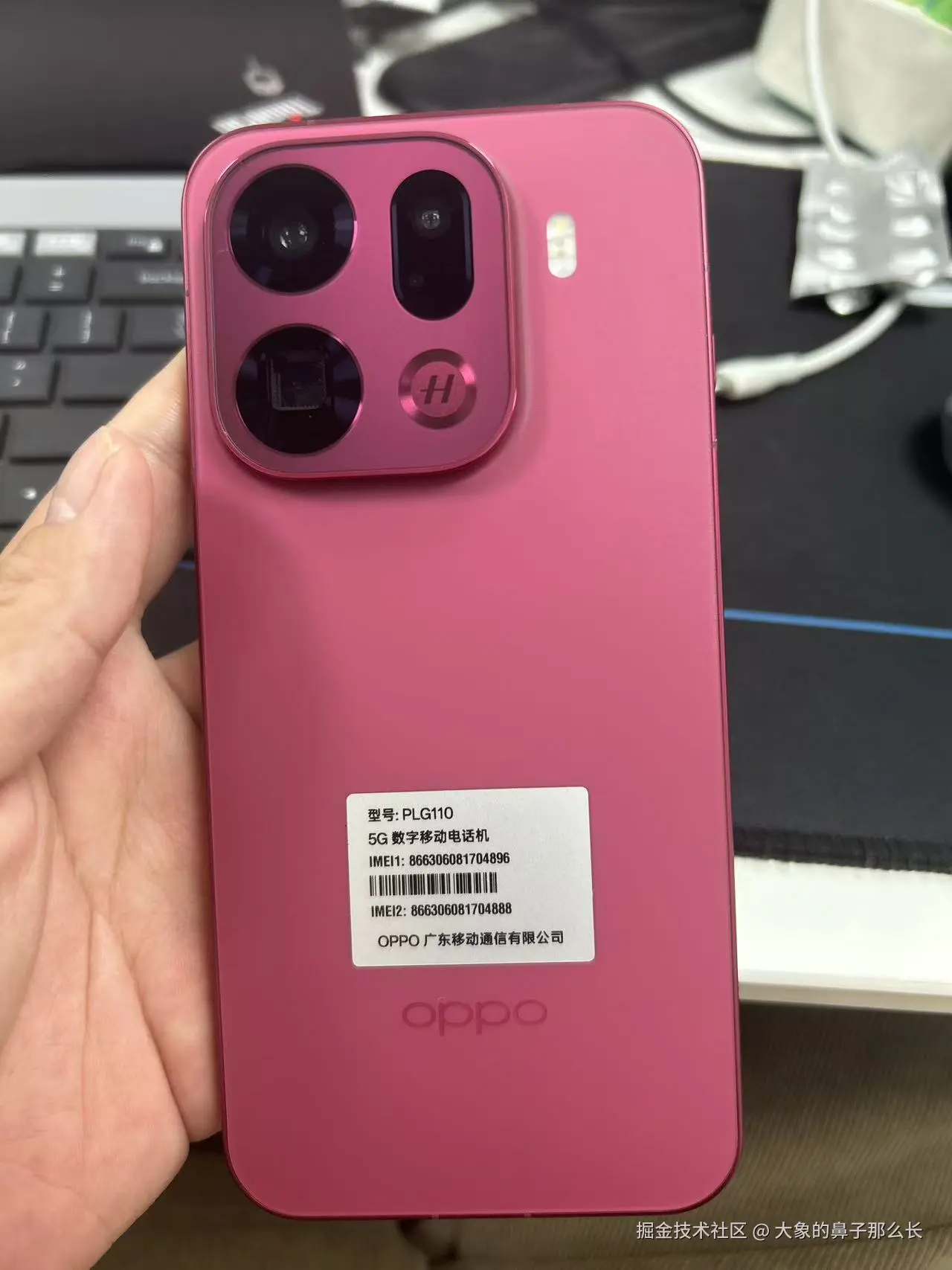 大象的鼻子那么长于2026-02-25 09:06发布的图片